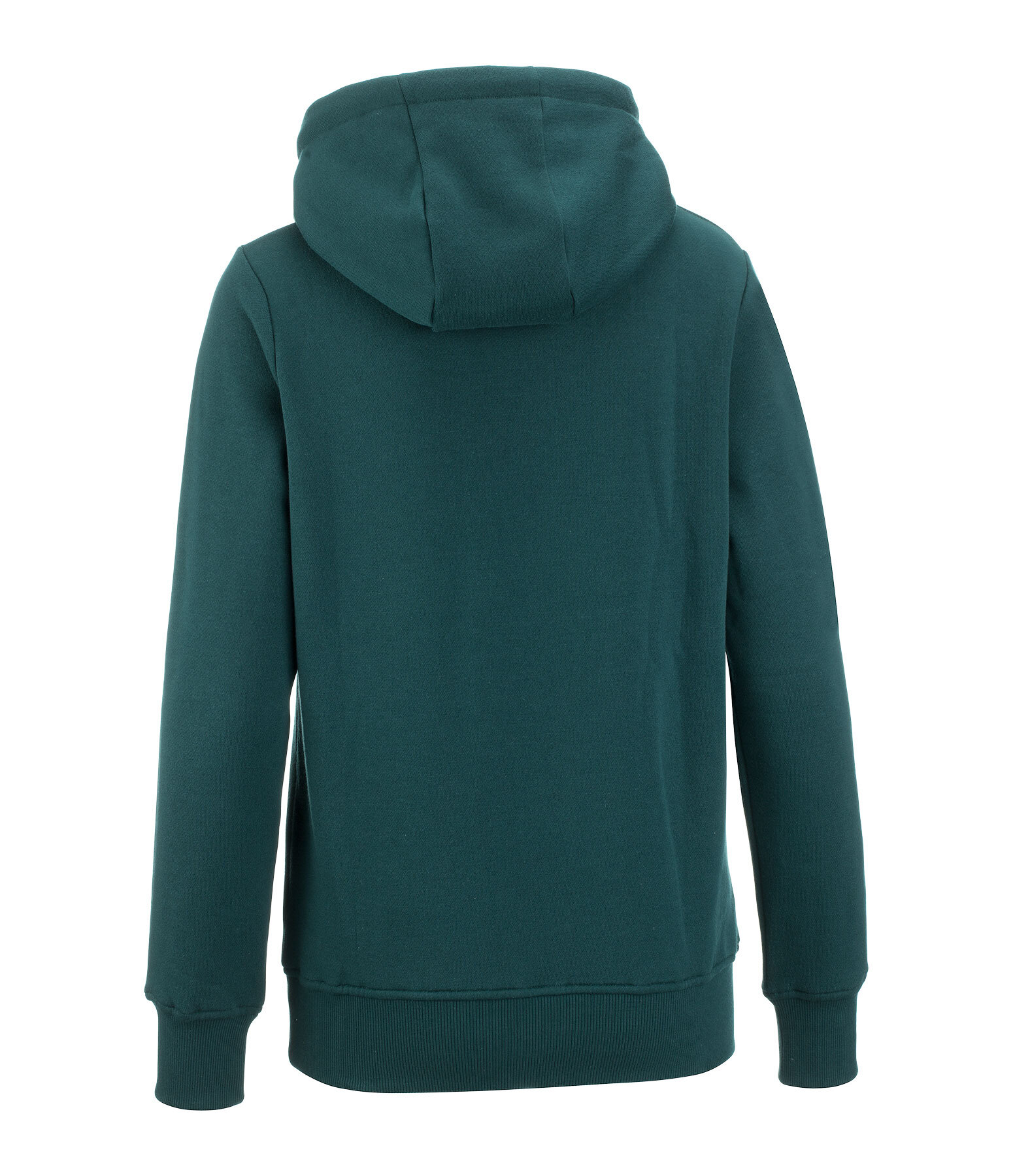 Sweat  capuche  Ted