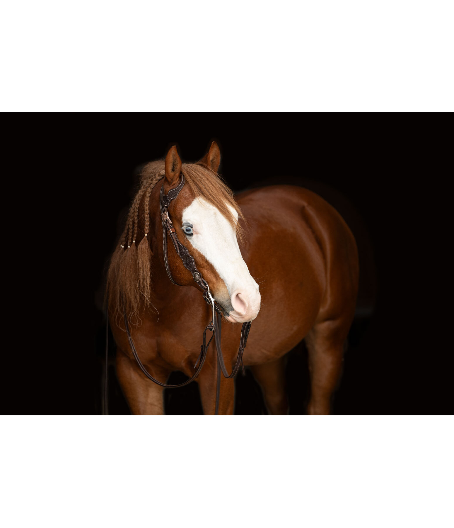 Bridon western  Copper
