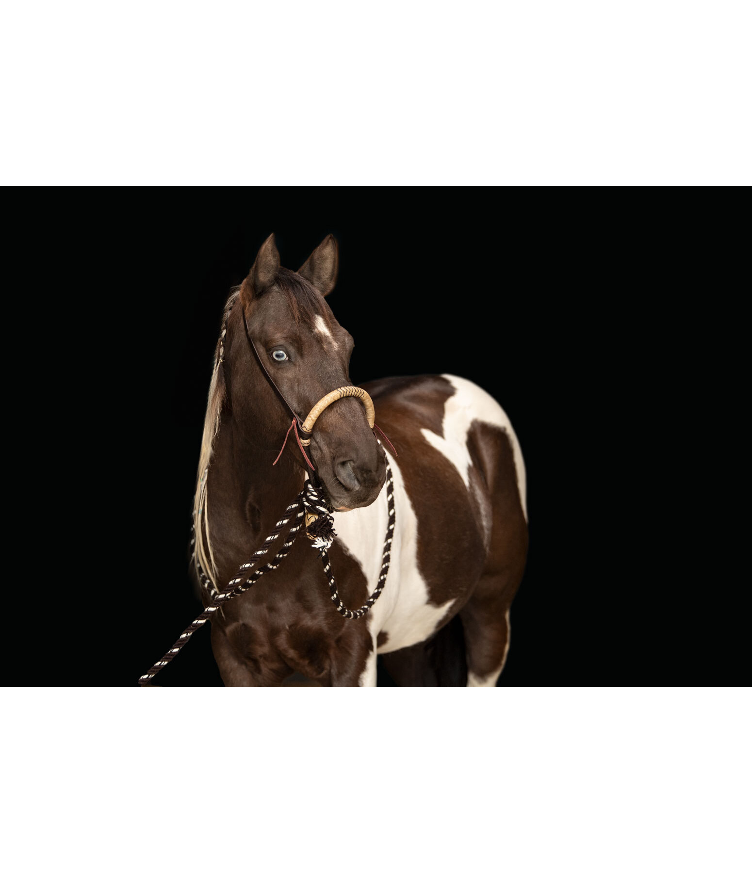 Ensemble bosal  Remy