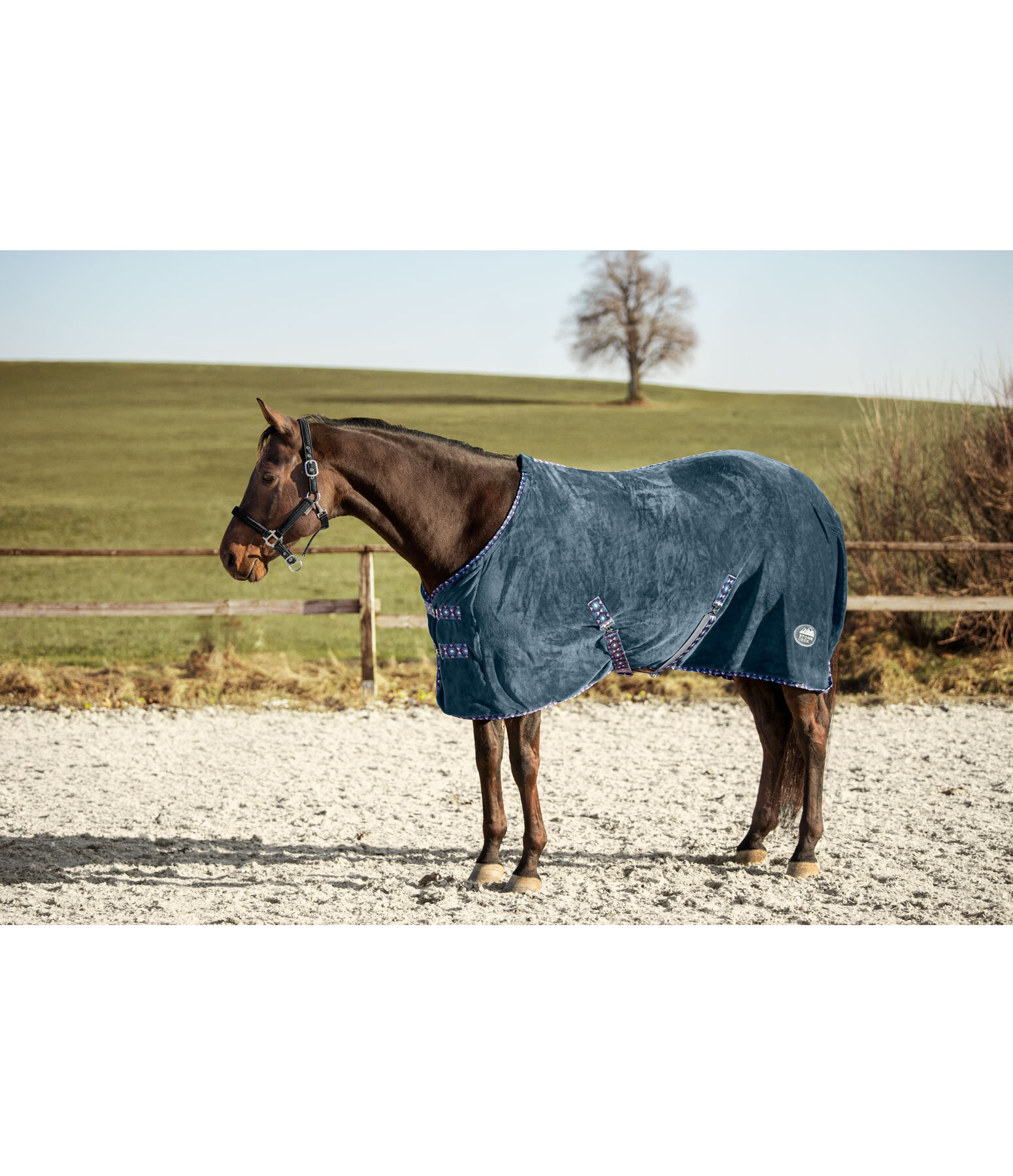 Chemise schante  Sitka