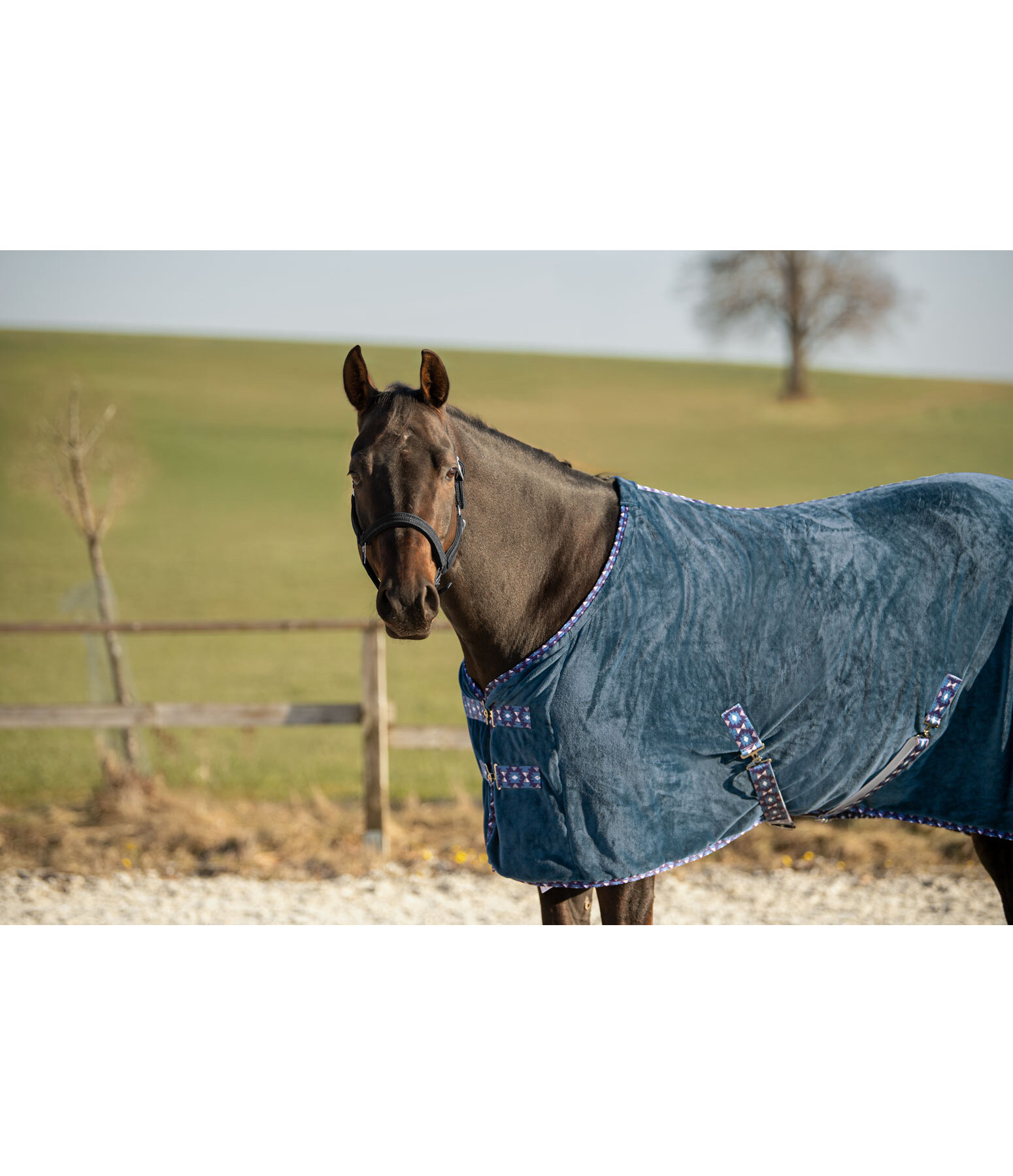 Chemise schante  Sitka