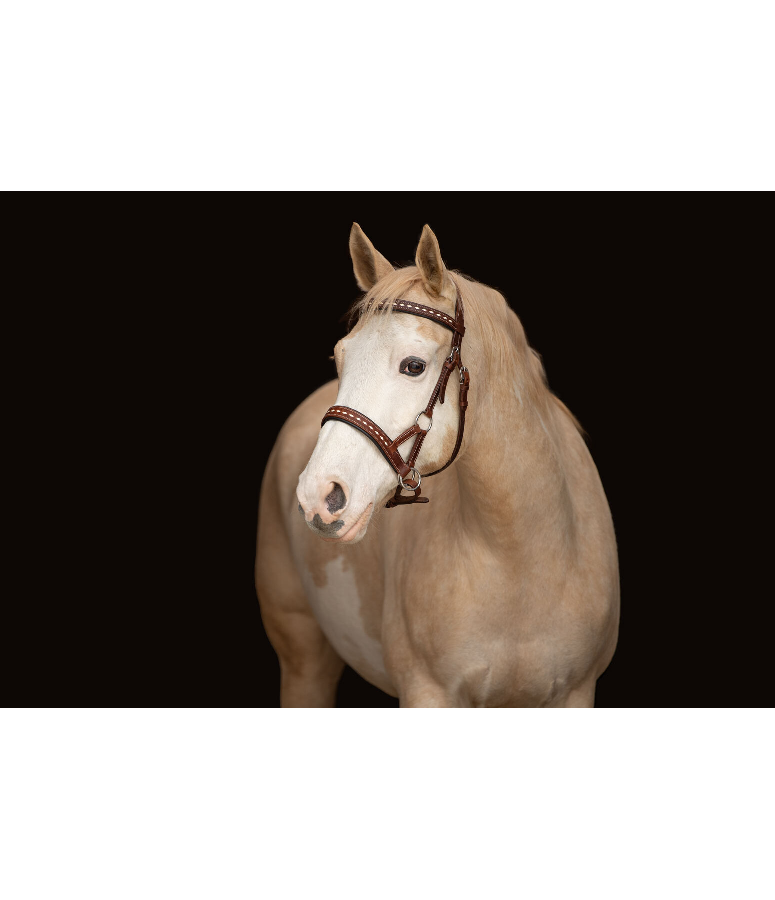 Sidepull  Rawhide