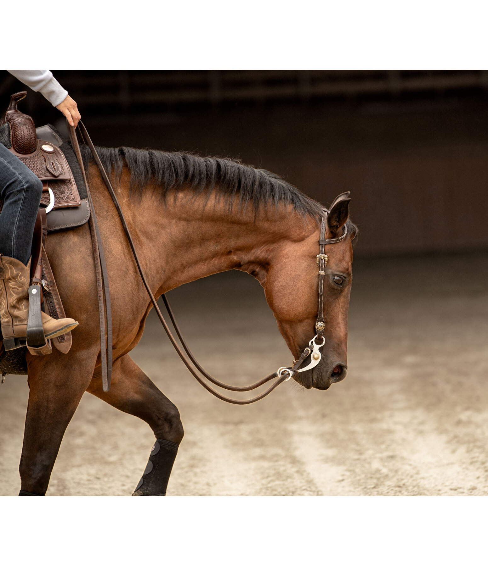 Bridon deux oreilles  Leaves