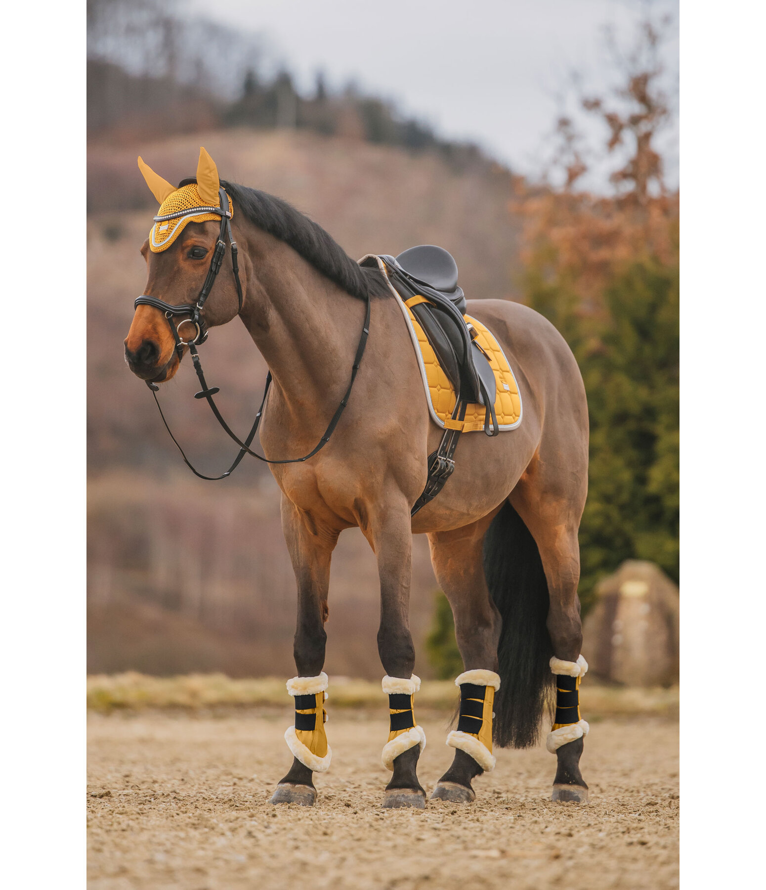 Tapis de selle   Essential