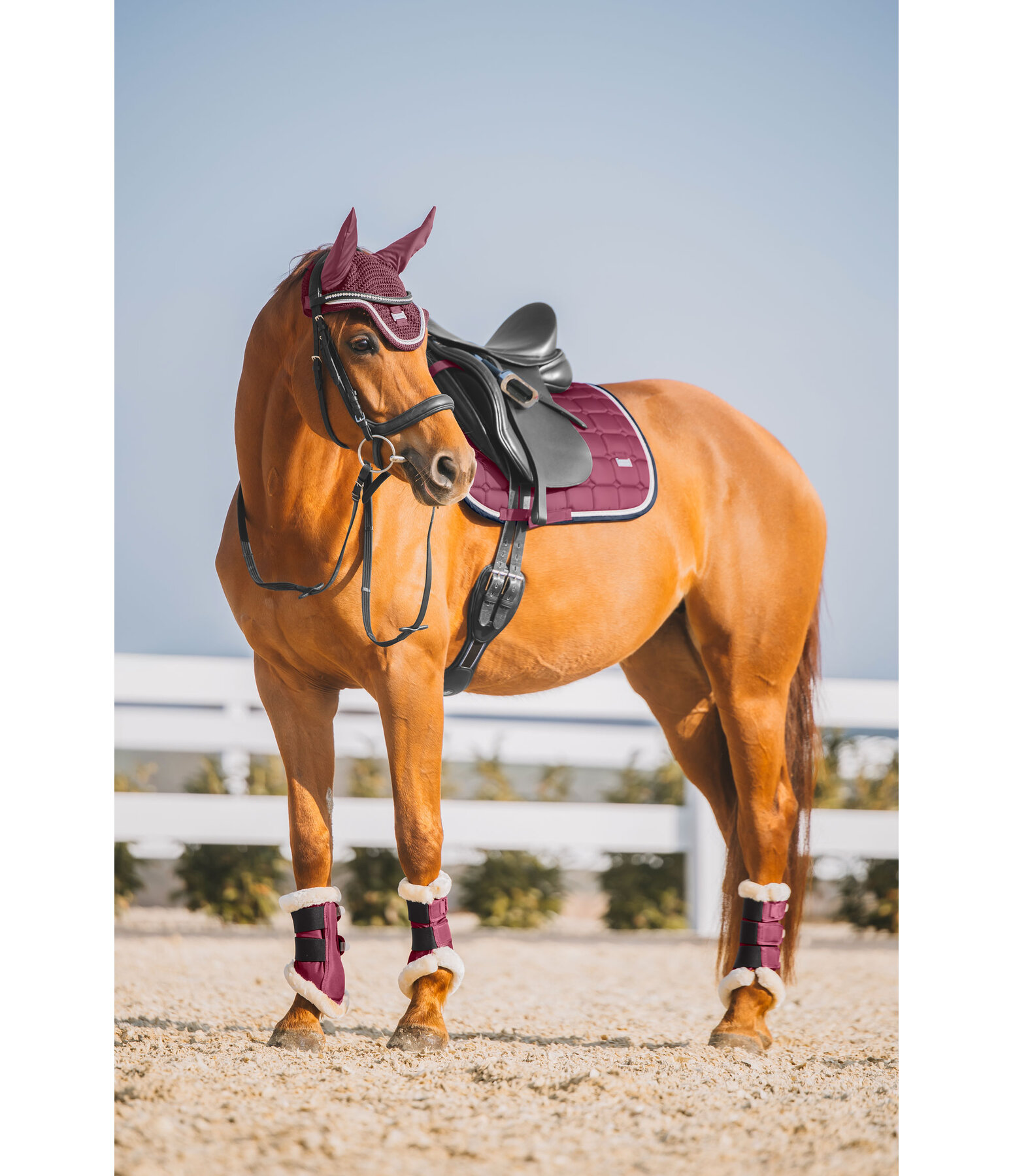 Tapis de selle   Essential