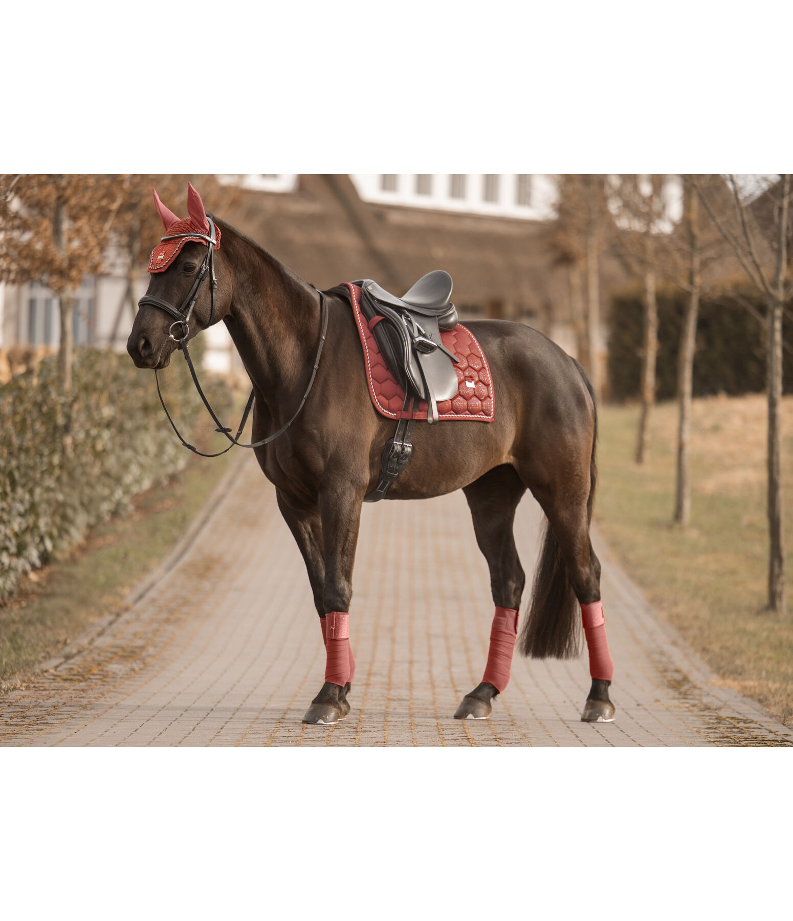 Tapis de selle  Sparkling II