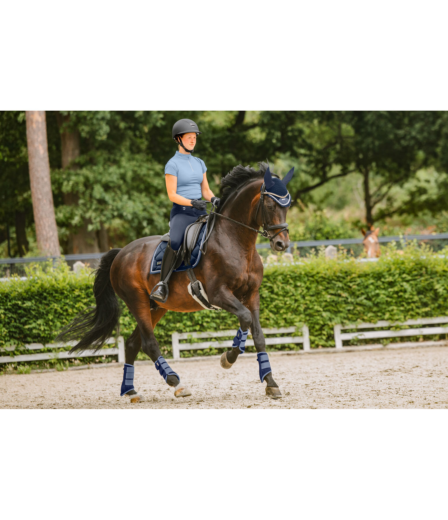 Tapis de selle  Swiss Design