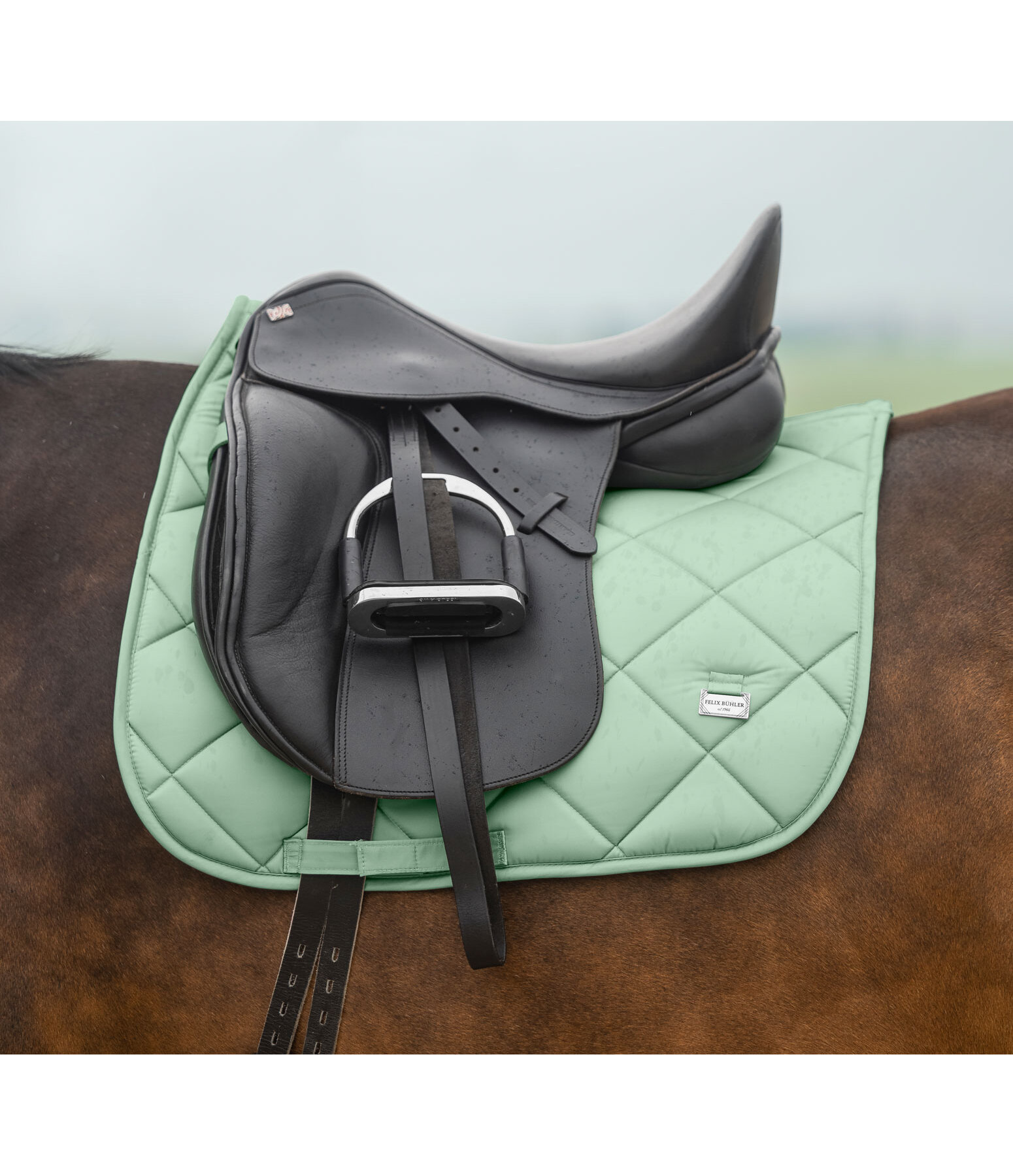 Tapis de selle  Essential Standard
