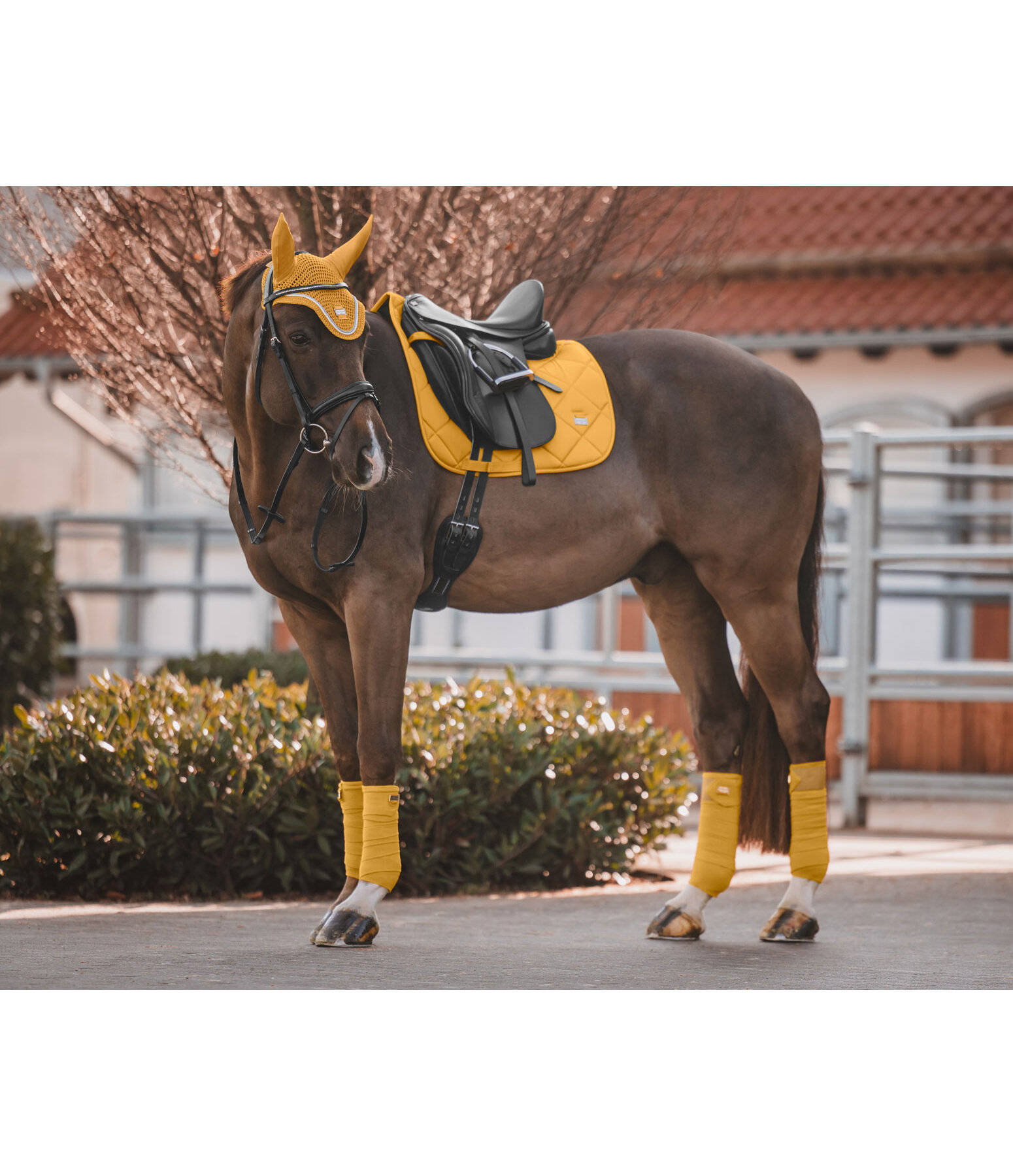 Tapis de selle  Essential Standard