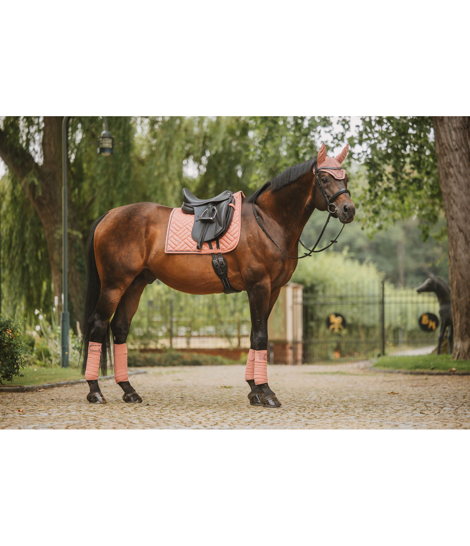 Tapis de selle  Brillant