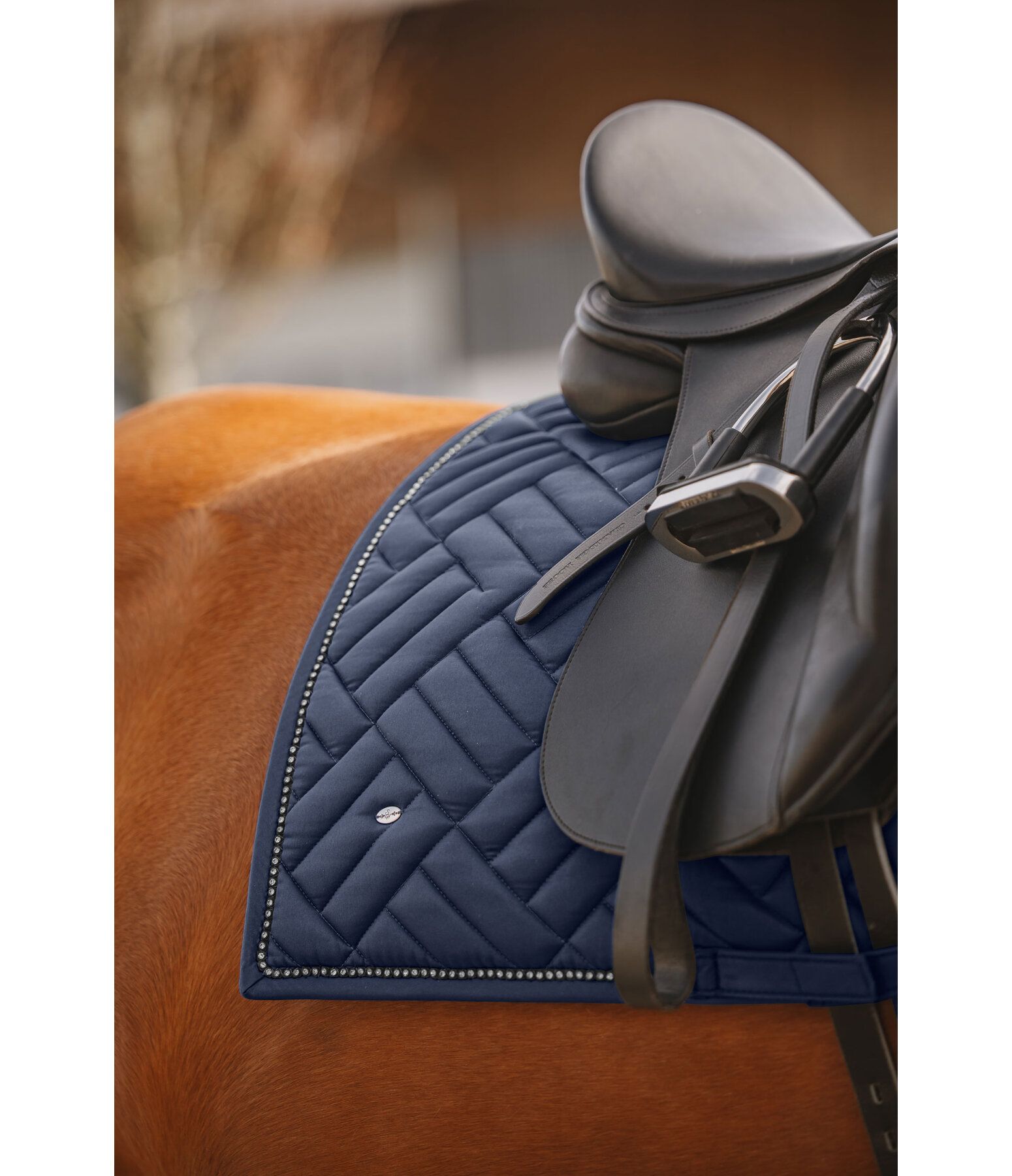 Tapis de selle  Brillant