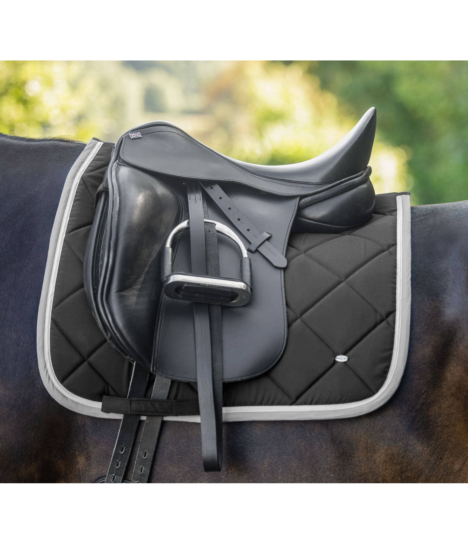 Tapis de selle  Primary