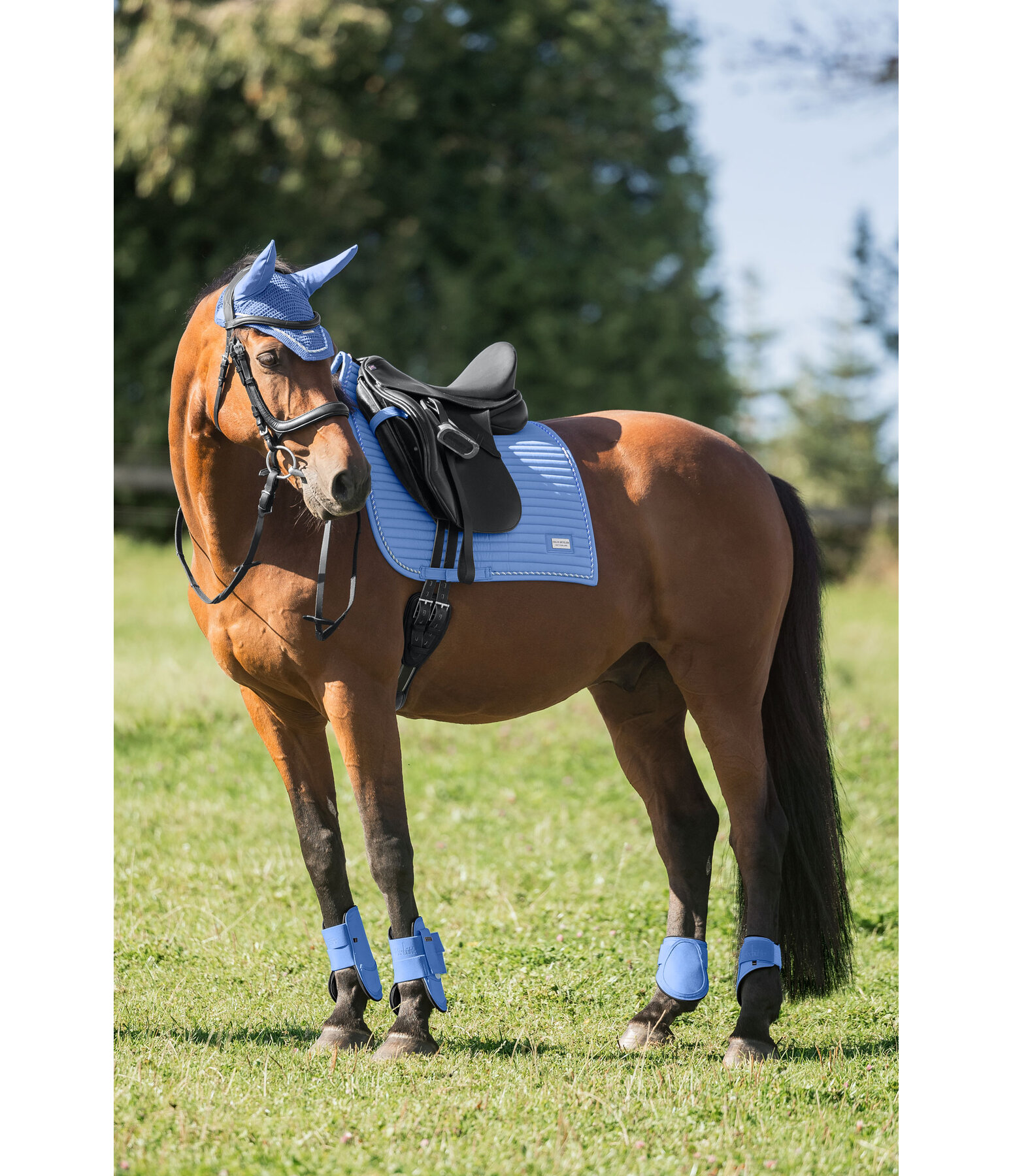 Tapis de selle  Sophistication avec passants de contre-sanglons