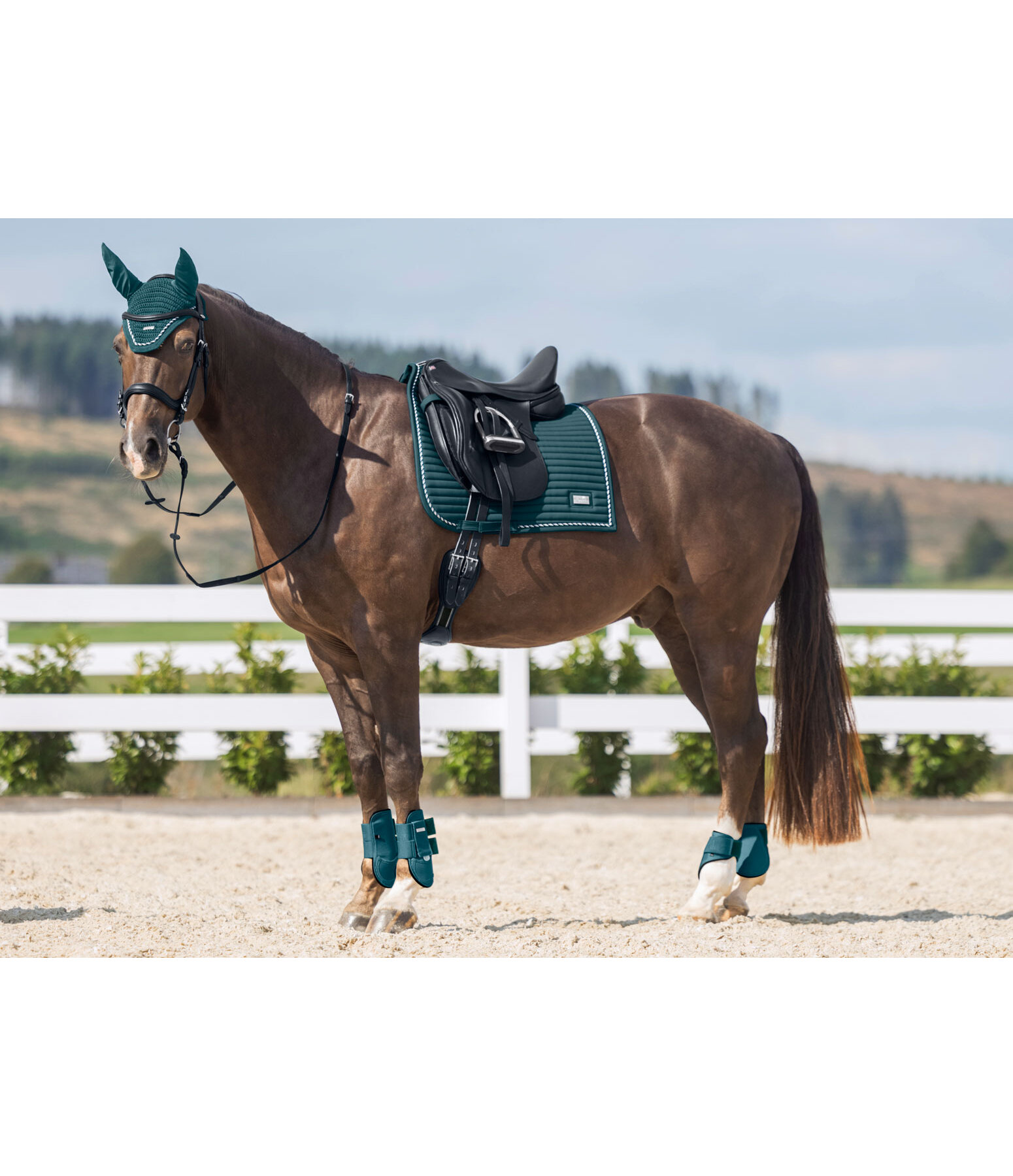 Tapis de selle  Sophistication avec passants de contre-sanglons