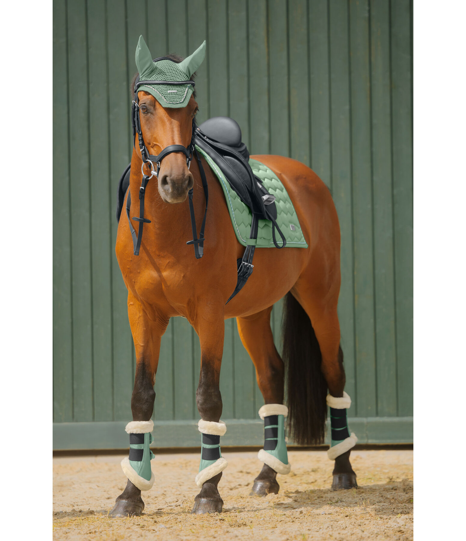 Tapis de selle  Sophistication sans passants de contre-sanglons