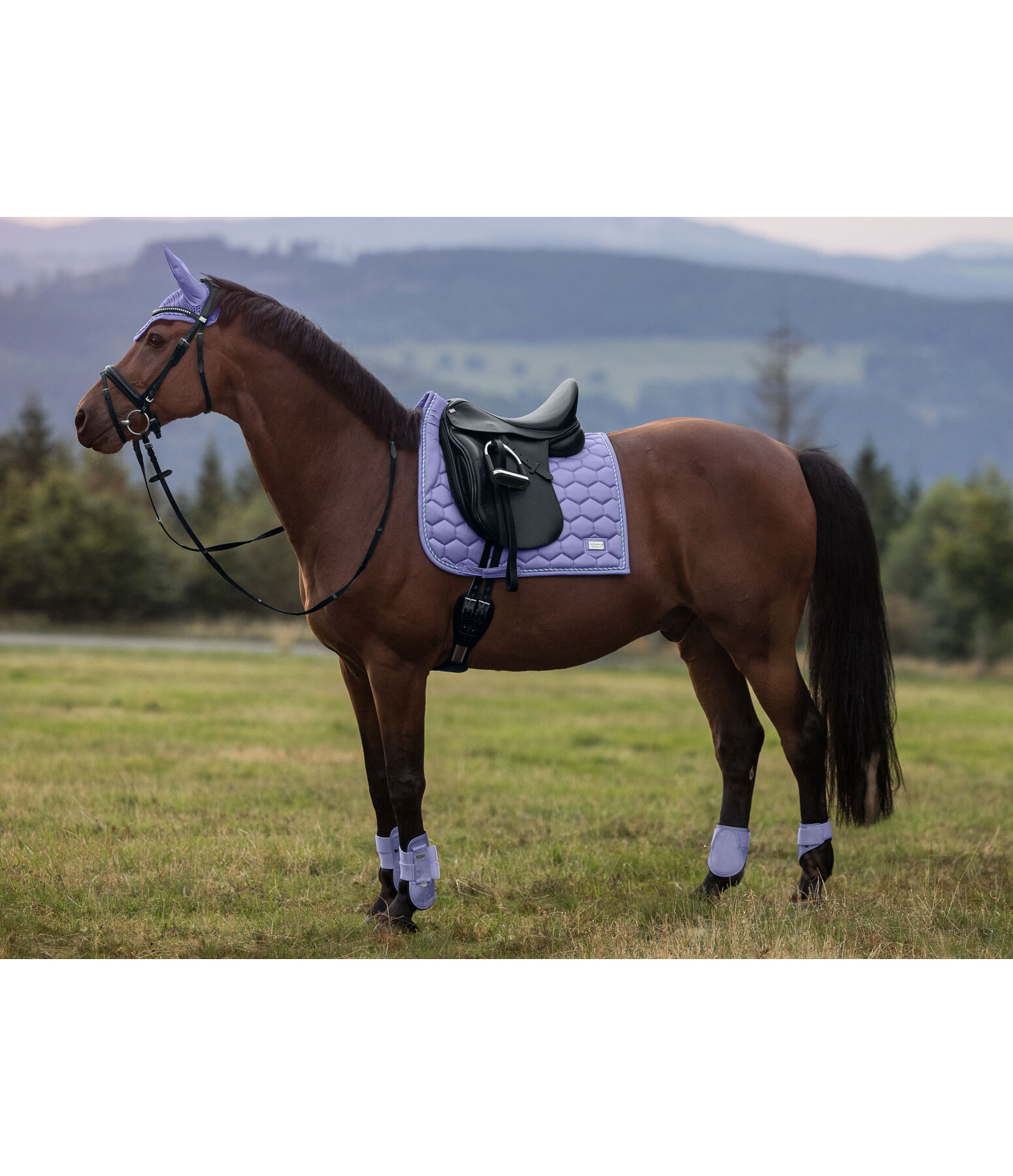 Tapis de selle  Sophistication sans passants de contre-sanglons