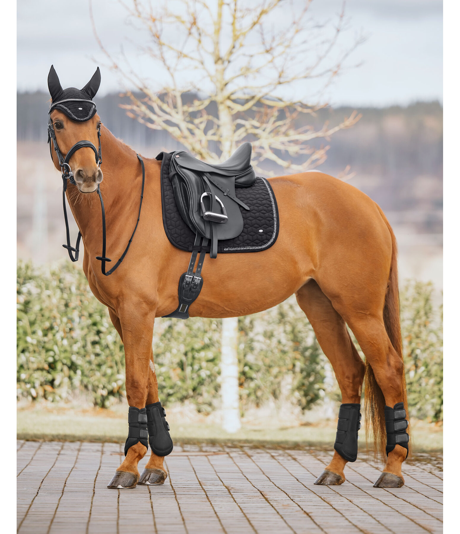Tapis de selle  Twinkle Moments