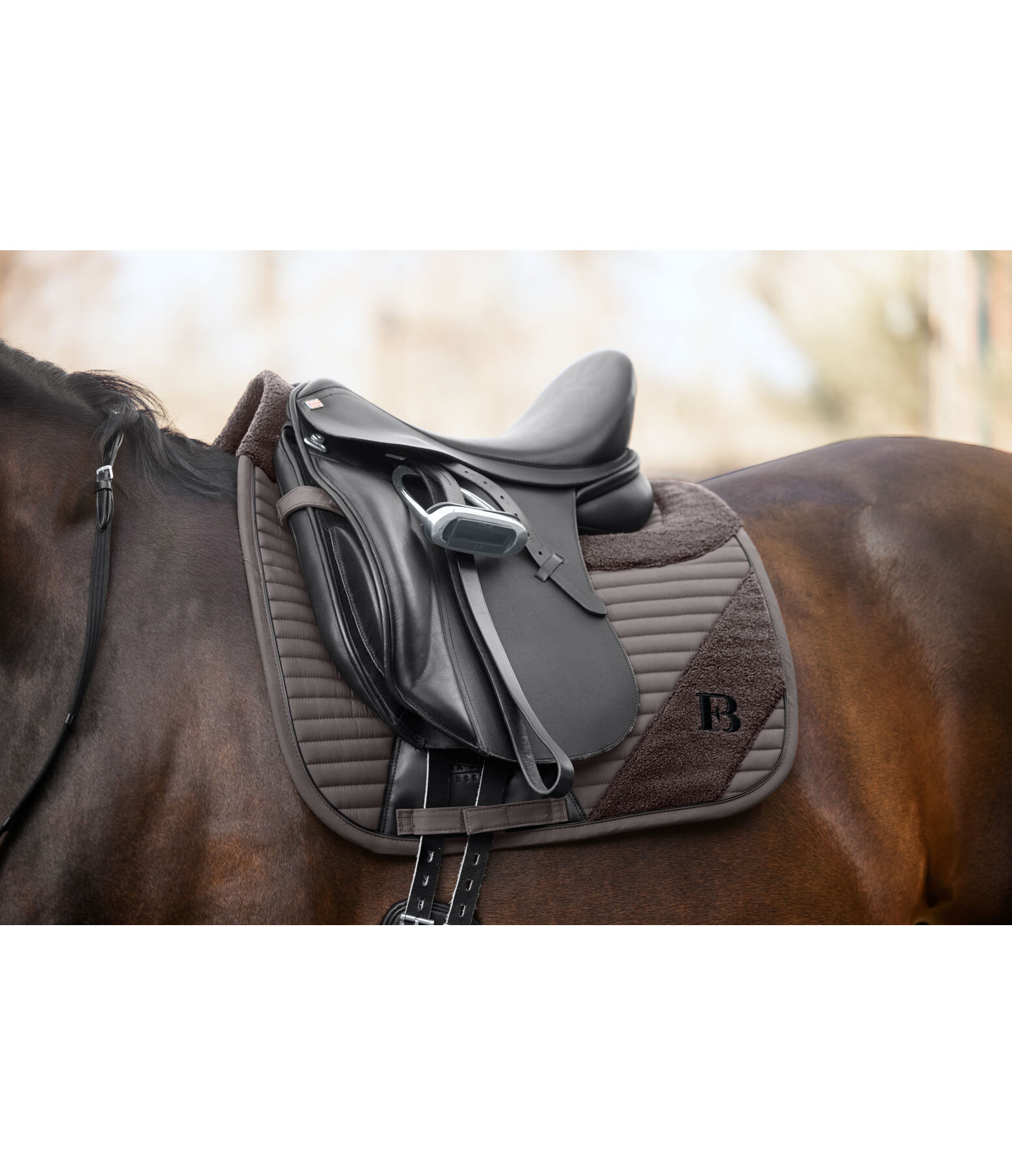 Tapis de selle  Teddy