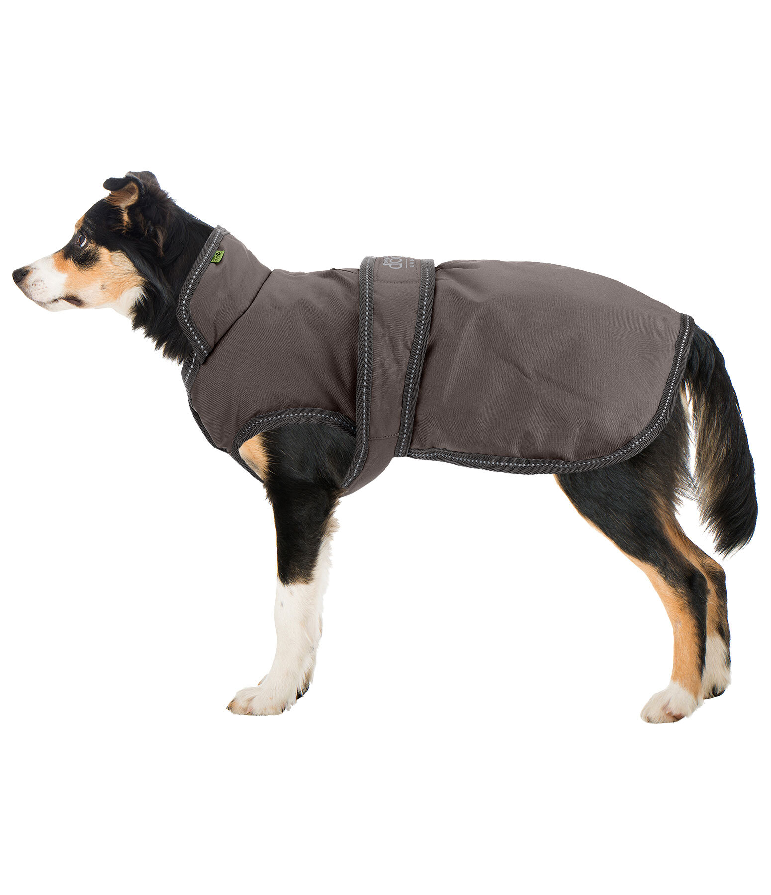Manteau pour chien avec doublure polaire  Eddie 200 g