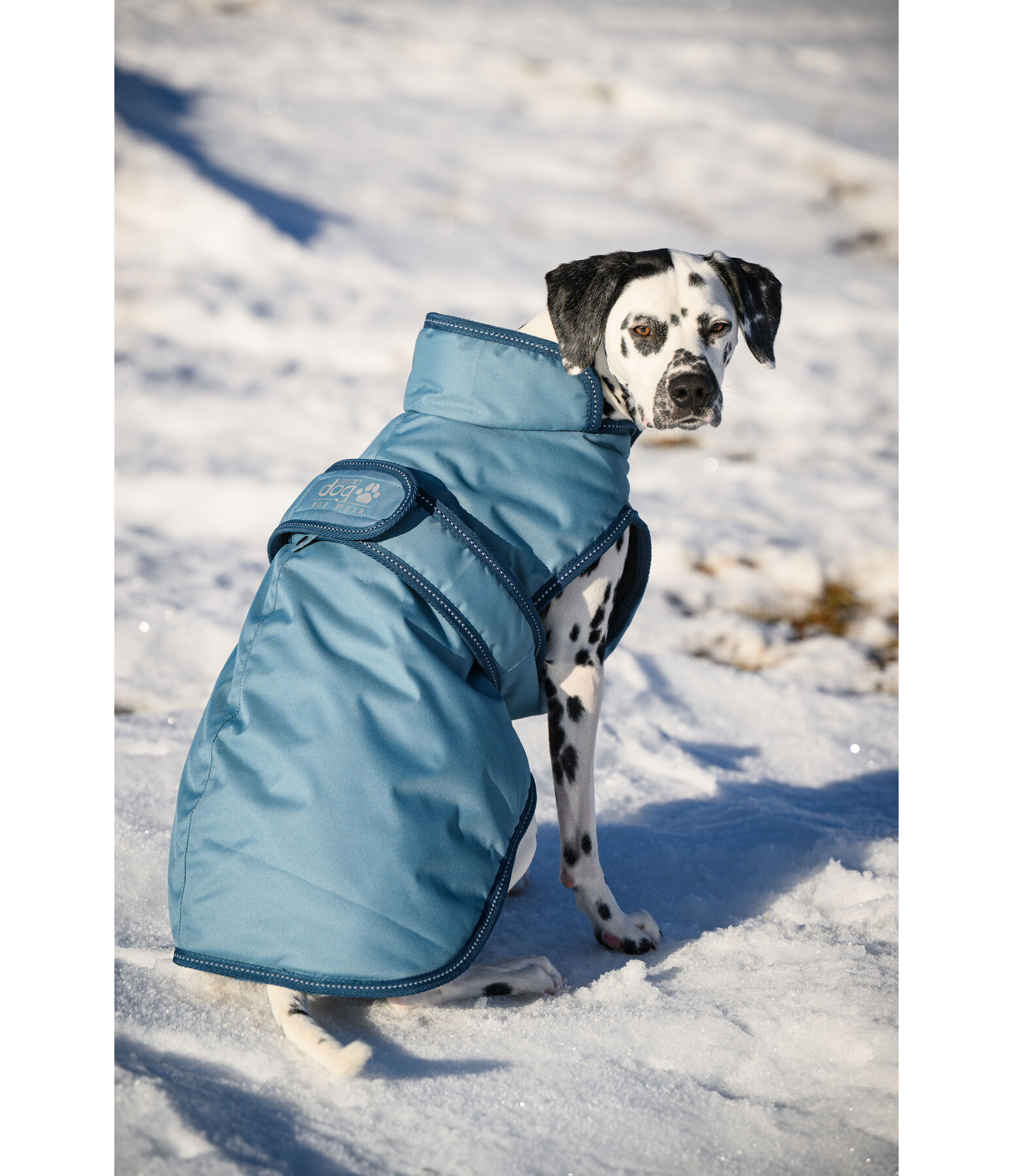 Manteau pour chien avec doublure polaire  Eddie 200 g