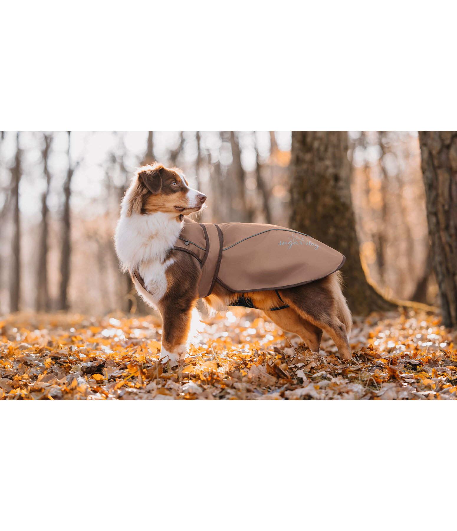 Manteau pour chien 2 en 1  Ally