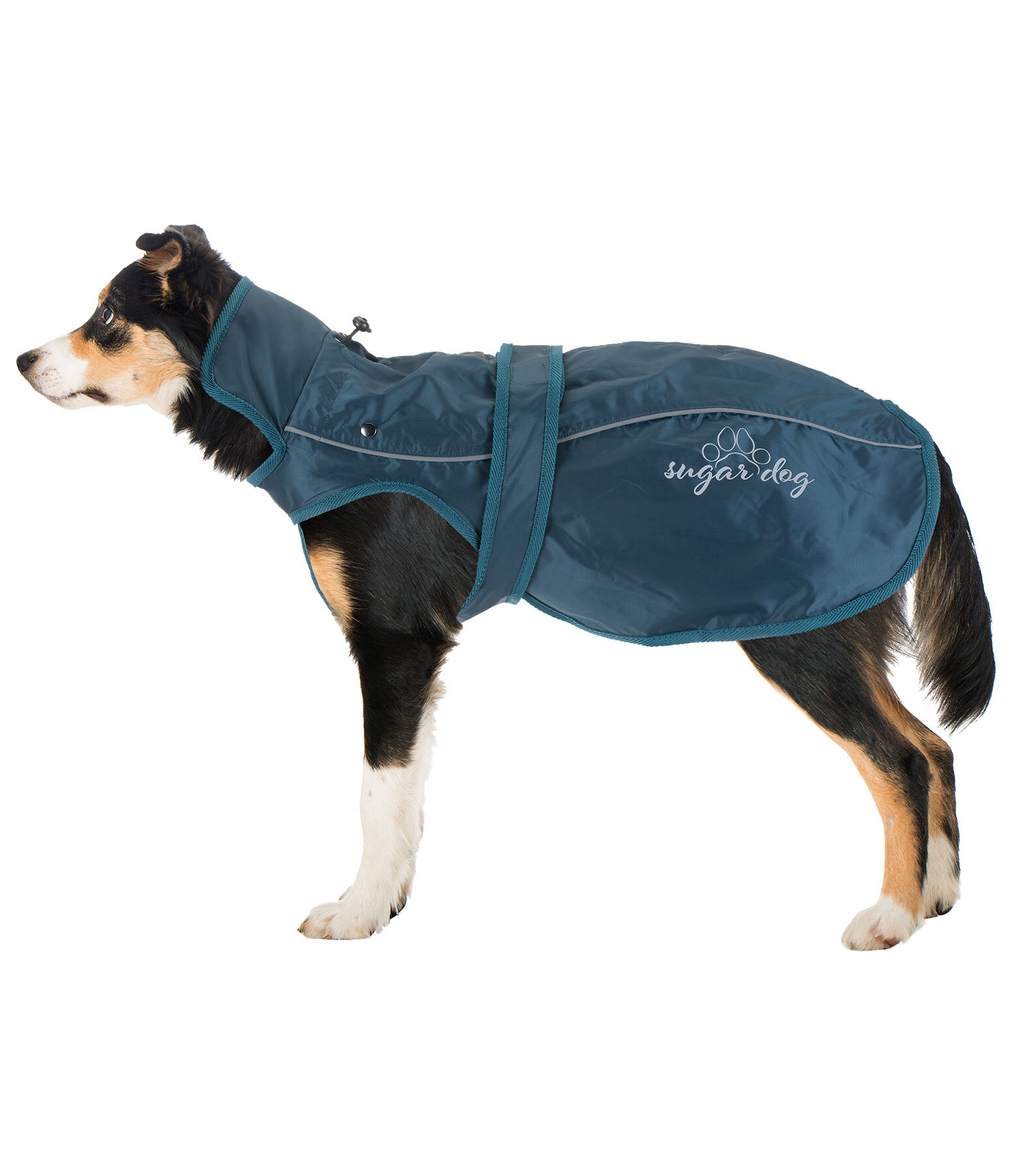 Manteau pour chien 2-en-1  Ally