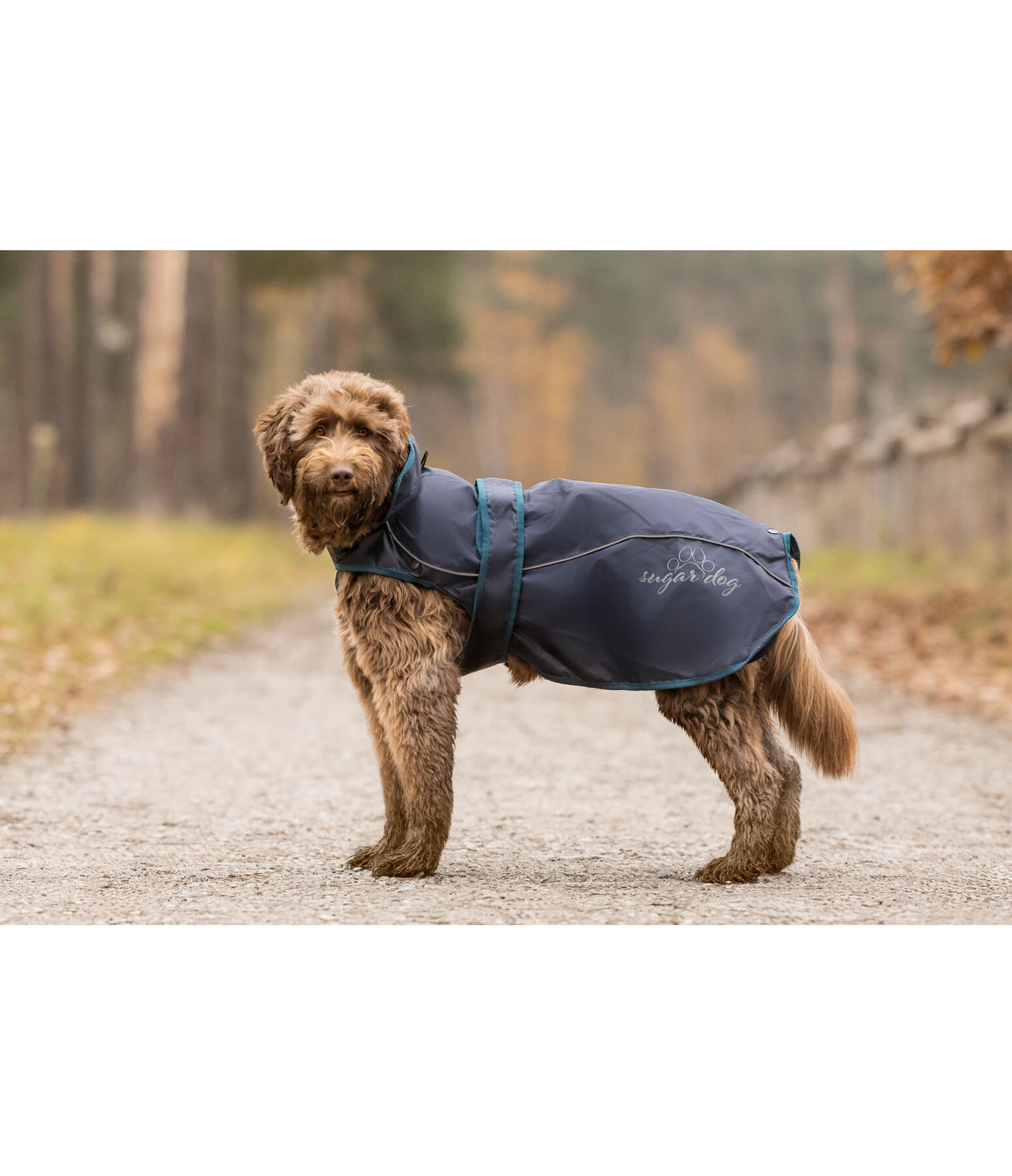 Manteau pour chien 2-en-1  Ally