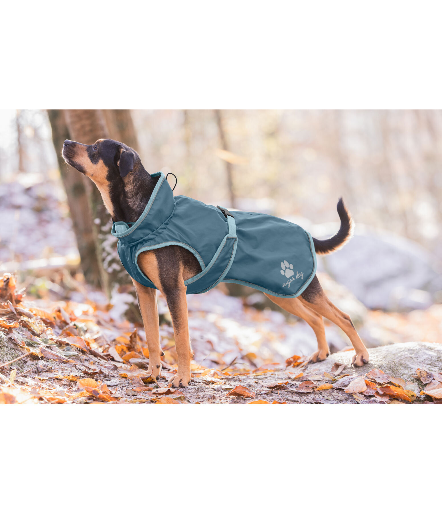 Manteau de pluie pour chien  Eldoro II avec doublure intrieure en polaire, 0g