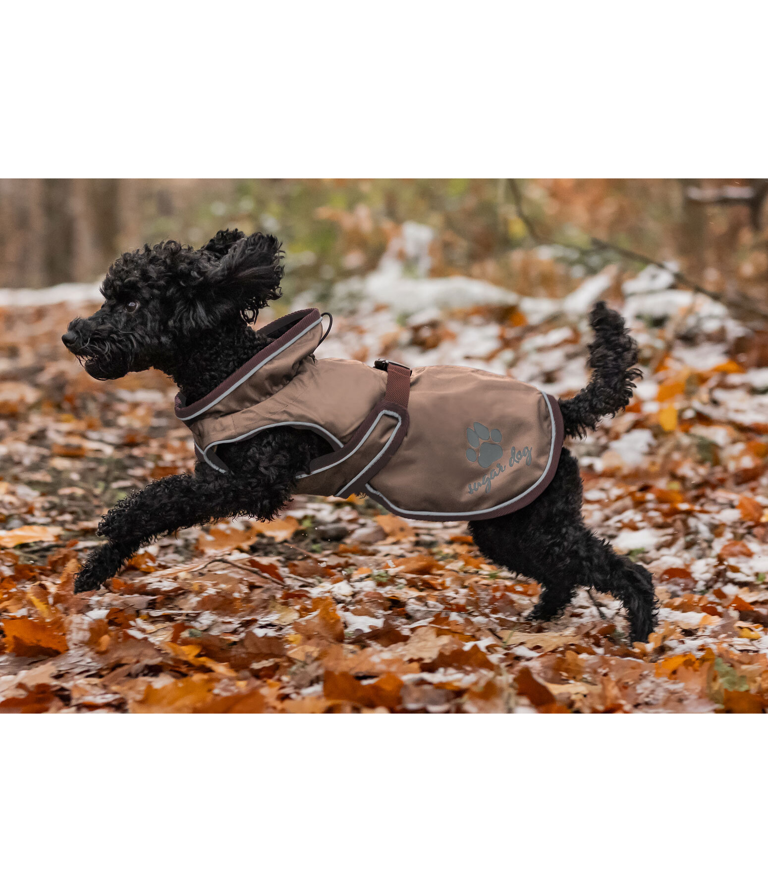 Manteau de pluie pour chien  Eldoro II avec doublure intrieure en polaire, 0g