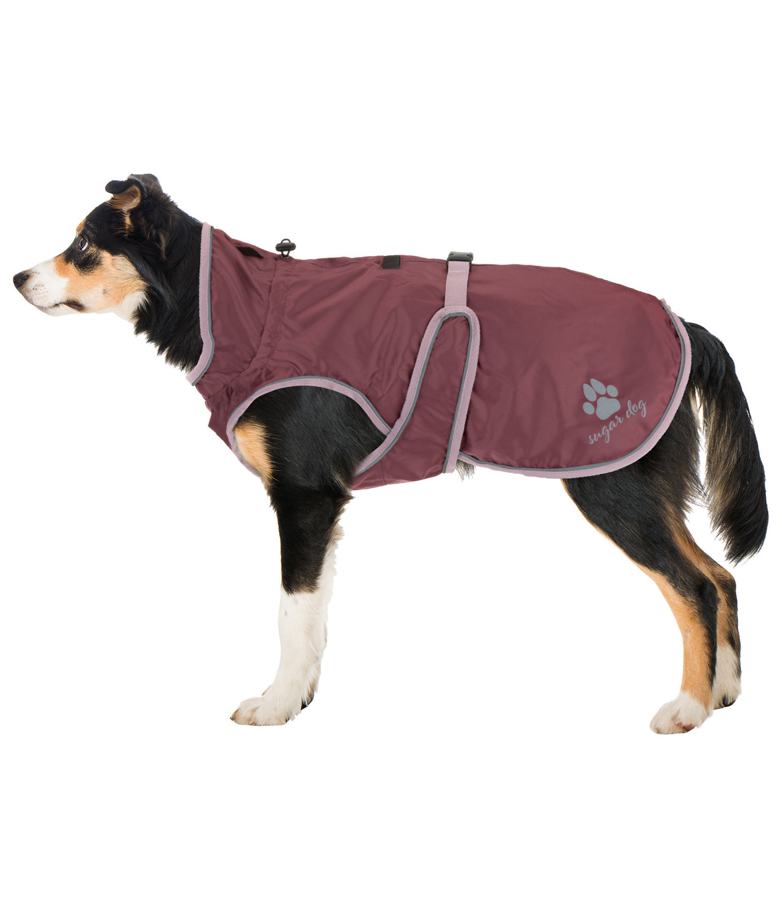 Manteau De Pluie Pour Chien Maxi Zoo