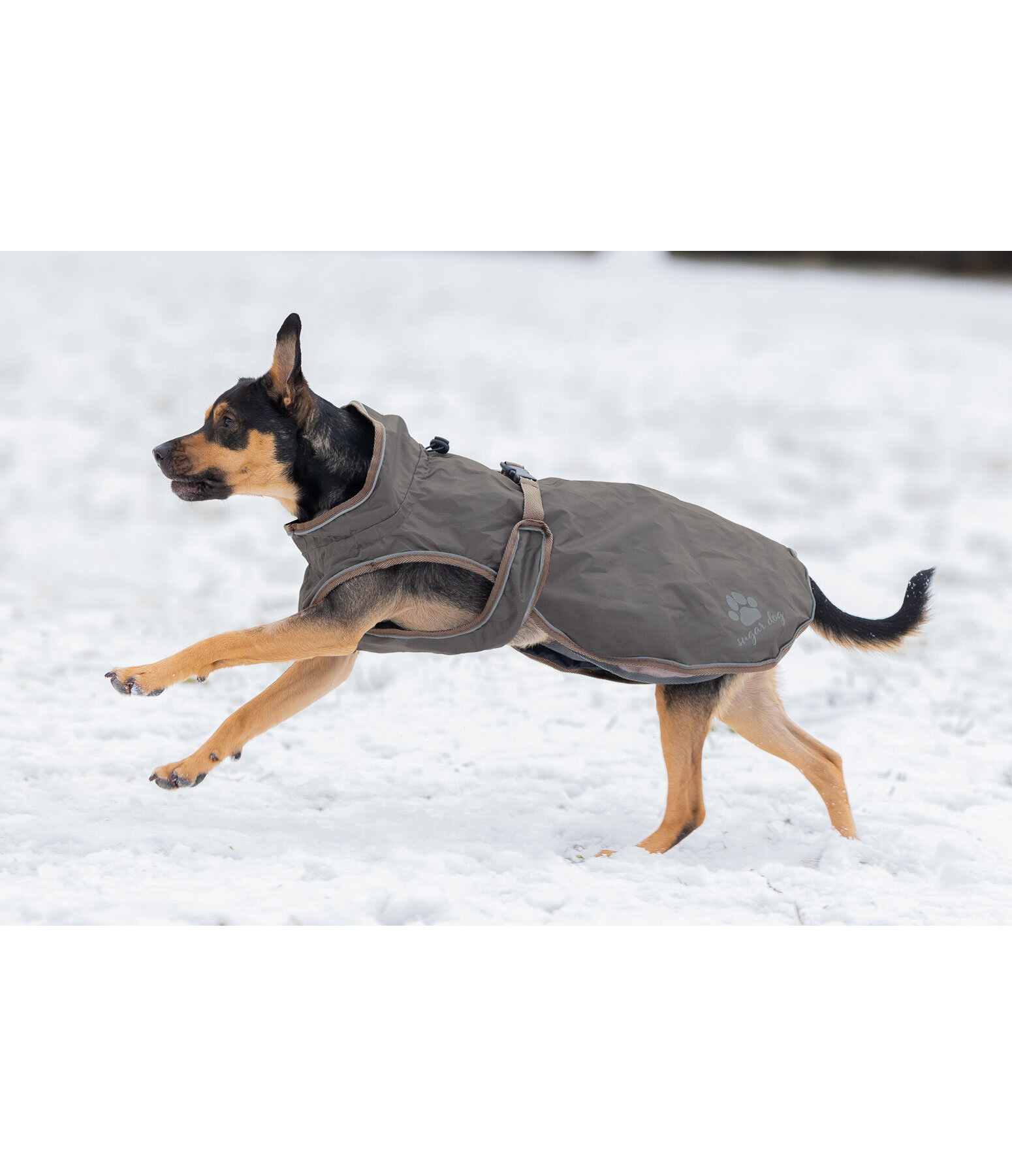 Manteau de pluie pour chien  Eldoro II avec doublure intrieure en polaire, 0g