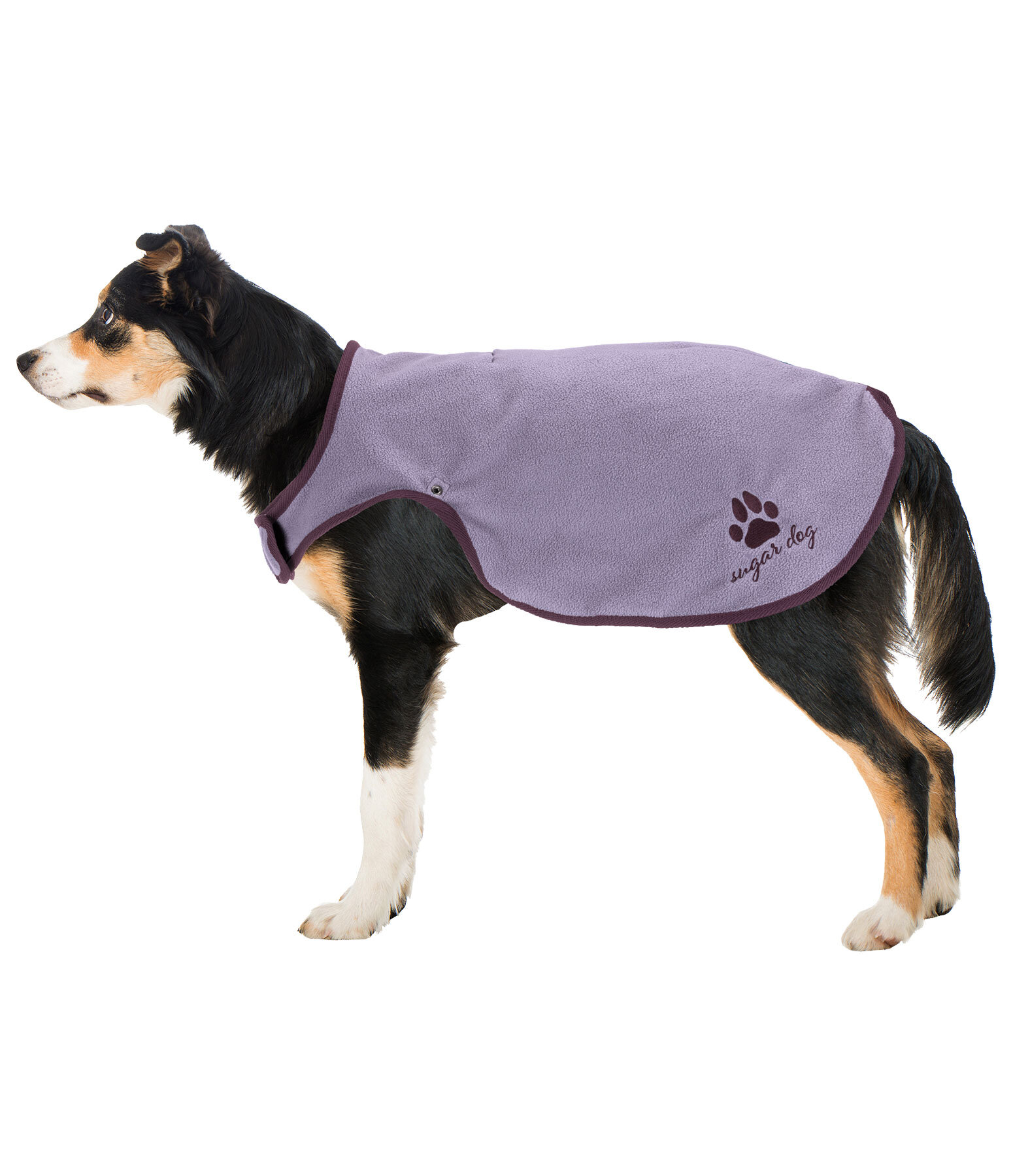 Manteau de pluie pour chien  Eldoro II avec doublure intrieure en polaire, 0g