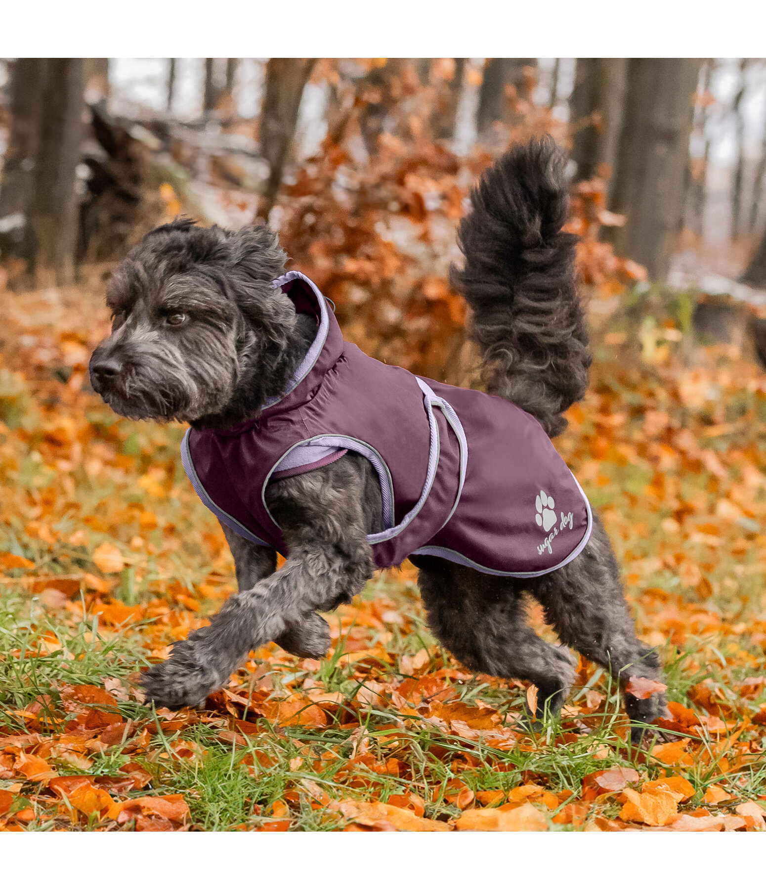 Manteau de pluie pour chien  Eldoro II avec doublure intrieure en polaire, 0g