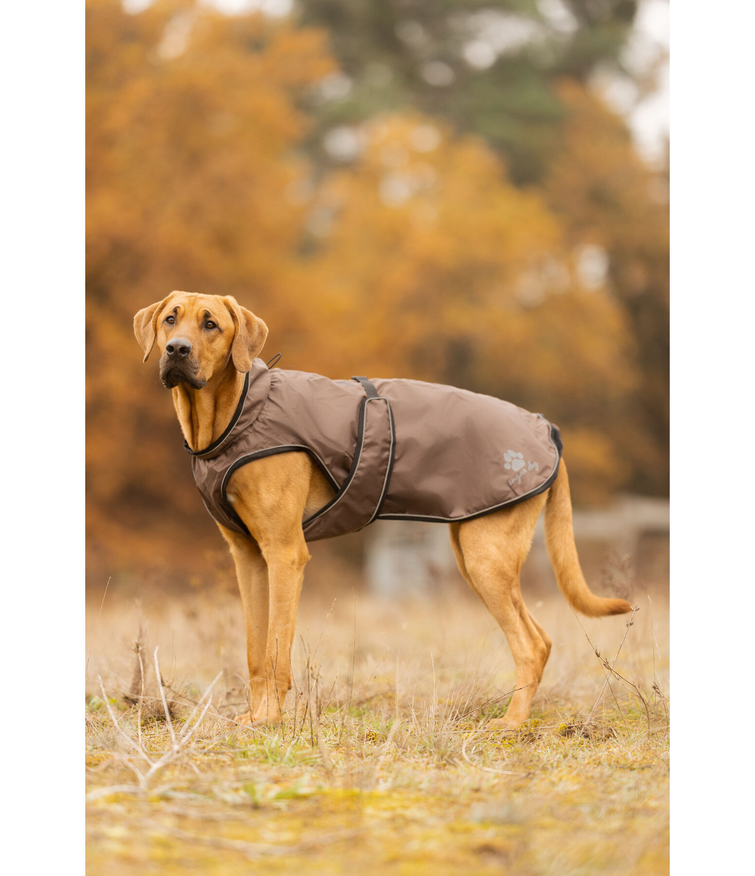 Manteau de pluie pour chien  Eldoro II avec doublure int�rieure en polaire, 0g