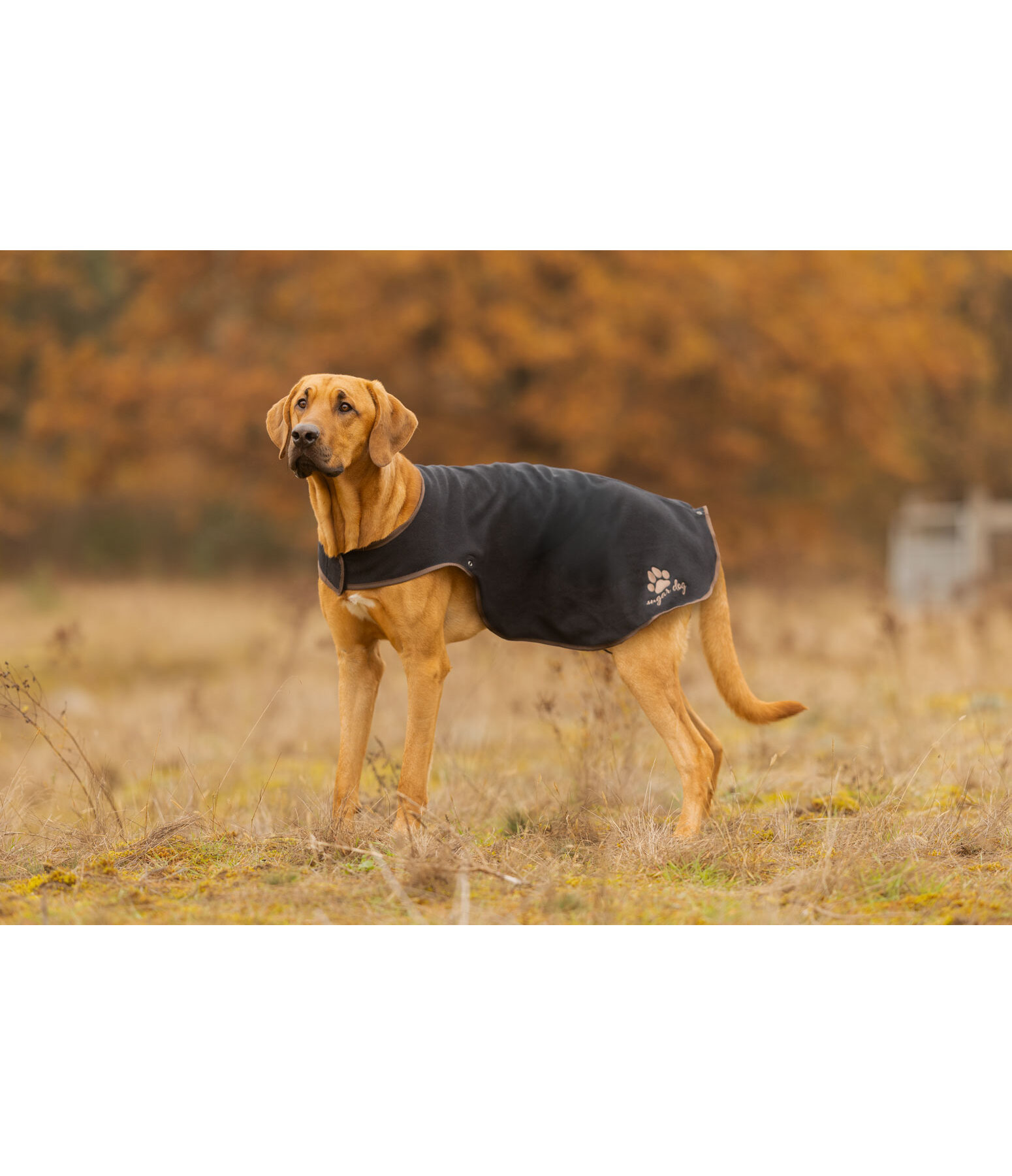 Manteau de pluie pour chien  Eldoro II avec doublure int�rieure en polaire, 0g