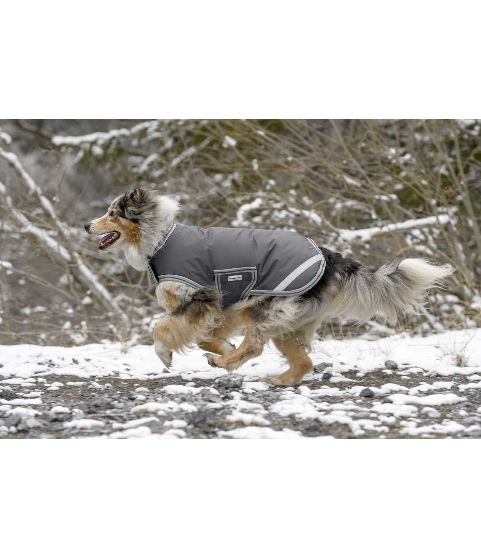 Manteau d'hiver pour chien  300 g