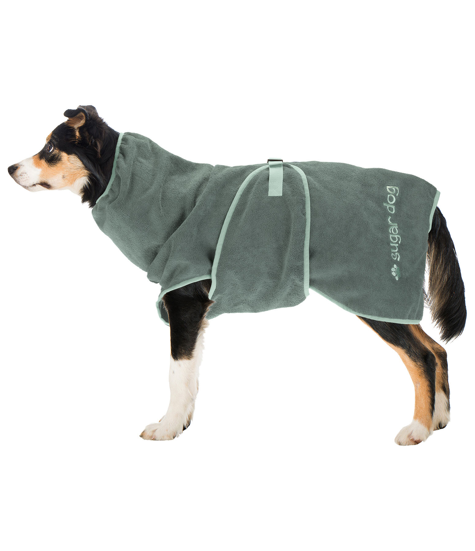 Chemise schante pour chien  Dry Dog II