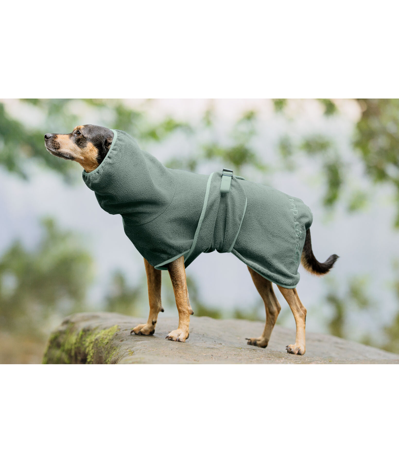Chemise schante pour chien  Dry Dog II