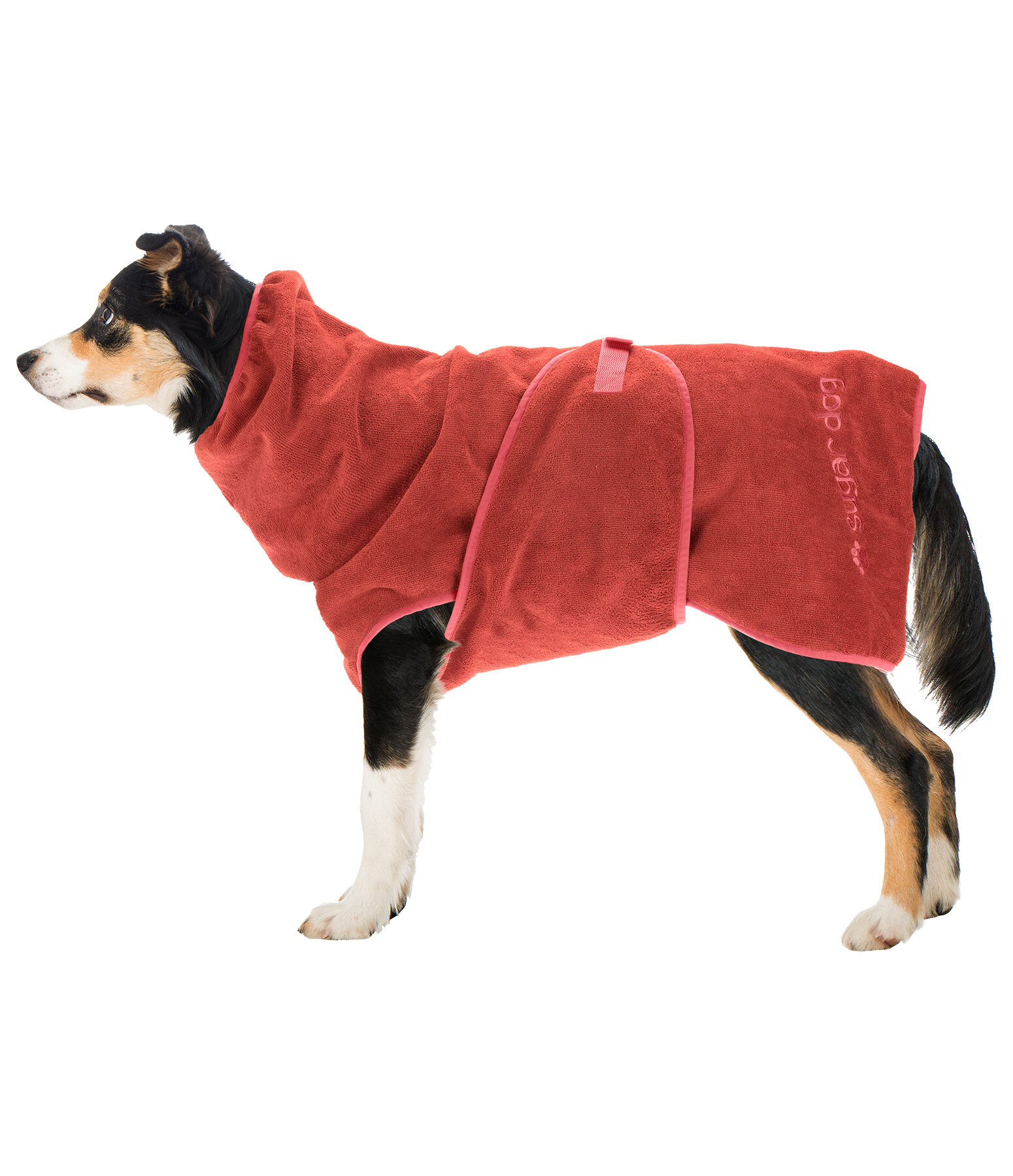 Chemise schante pour chien  Dry Dog II
