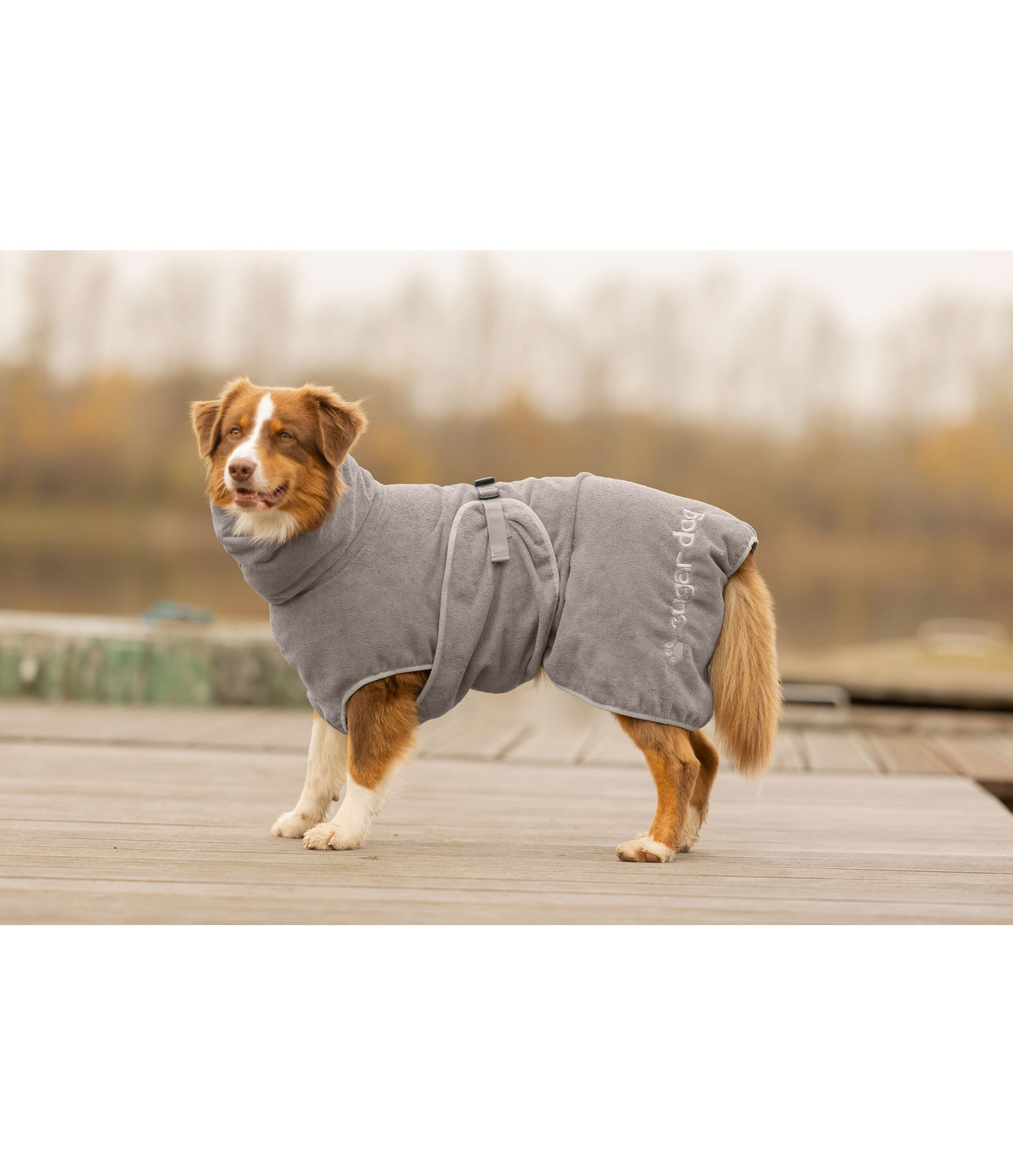 Chemise s�chante pour chien  Dry Dog II