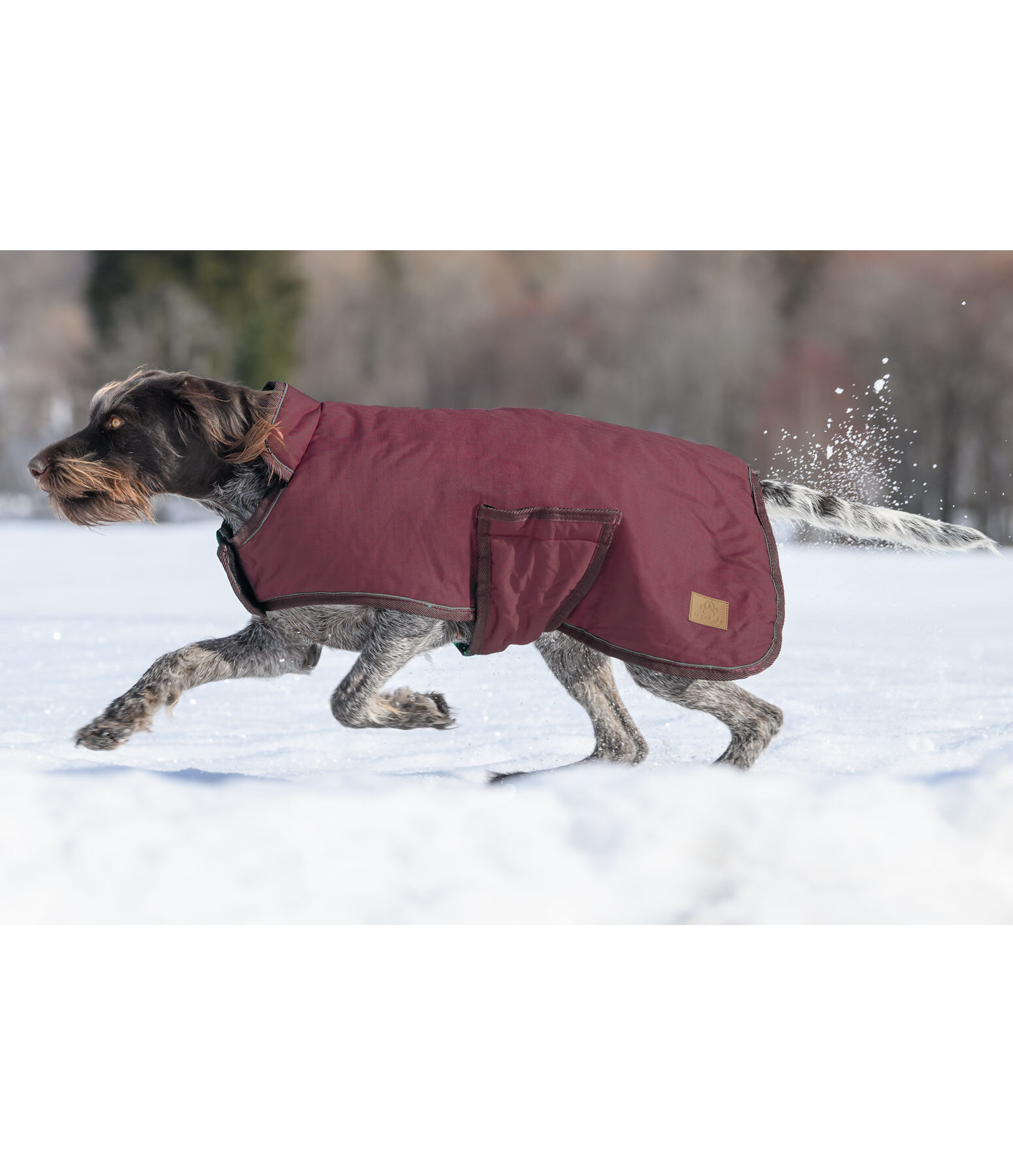 Manteau d'hiver pour chien  Beaver Creek, 400 g