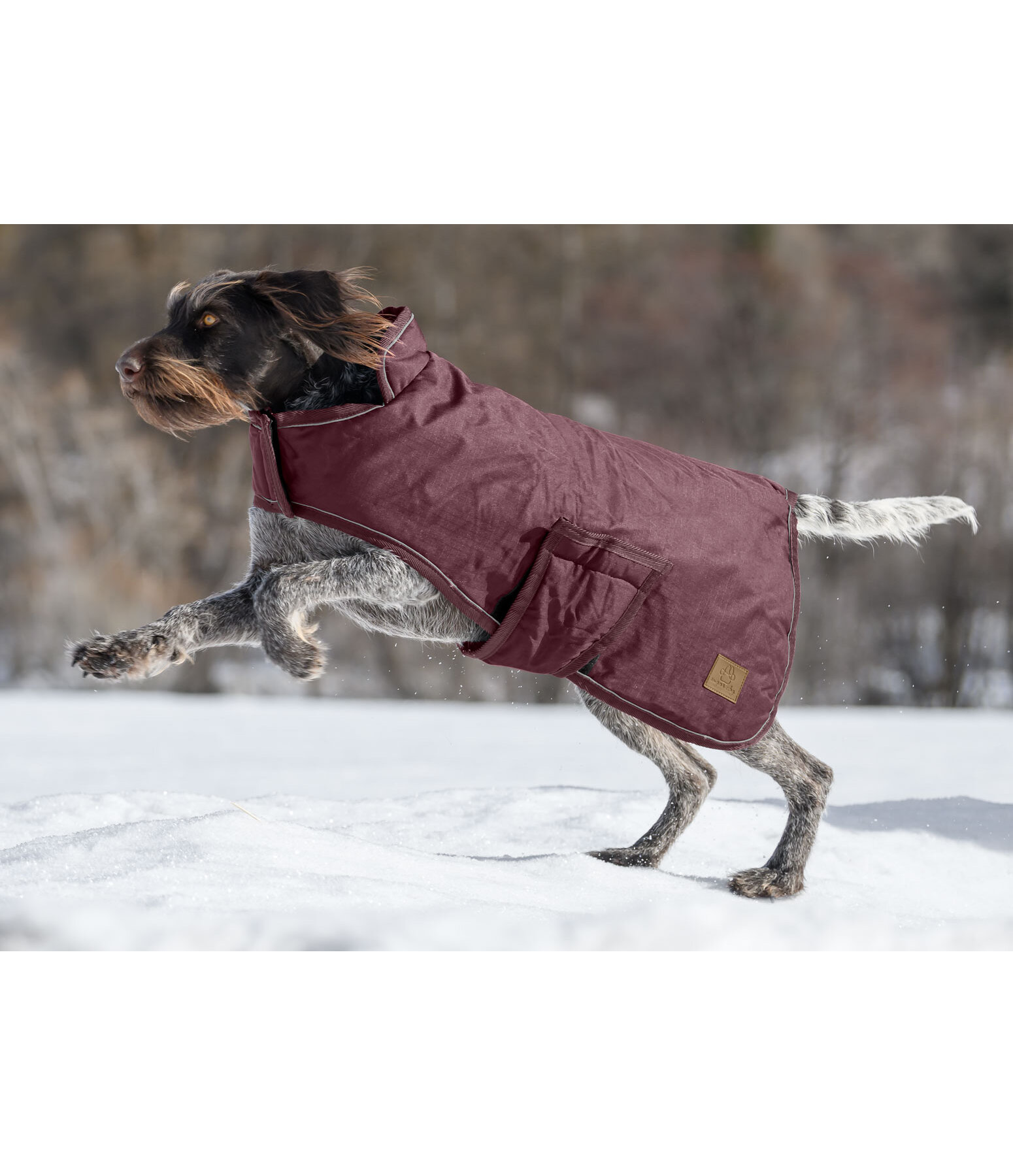 Manteau d'hiver pour chien  Beaver Creek, 400 g