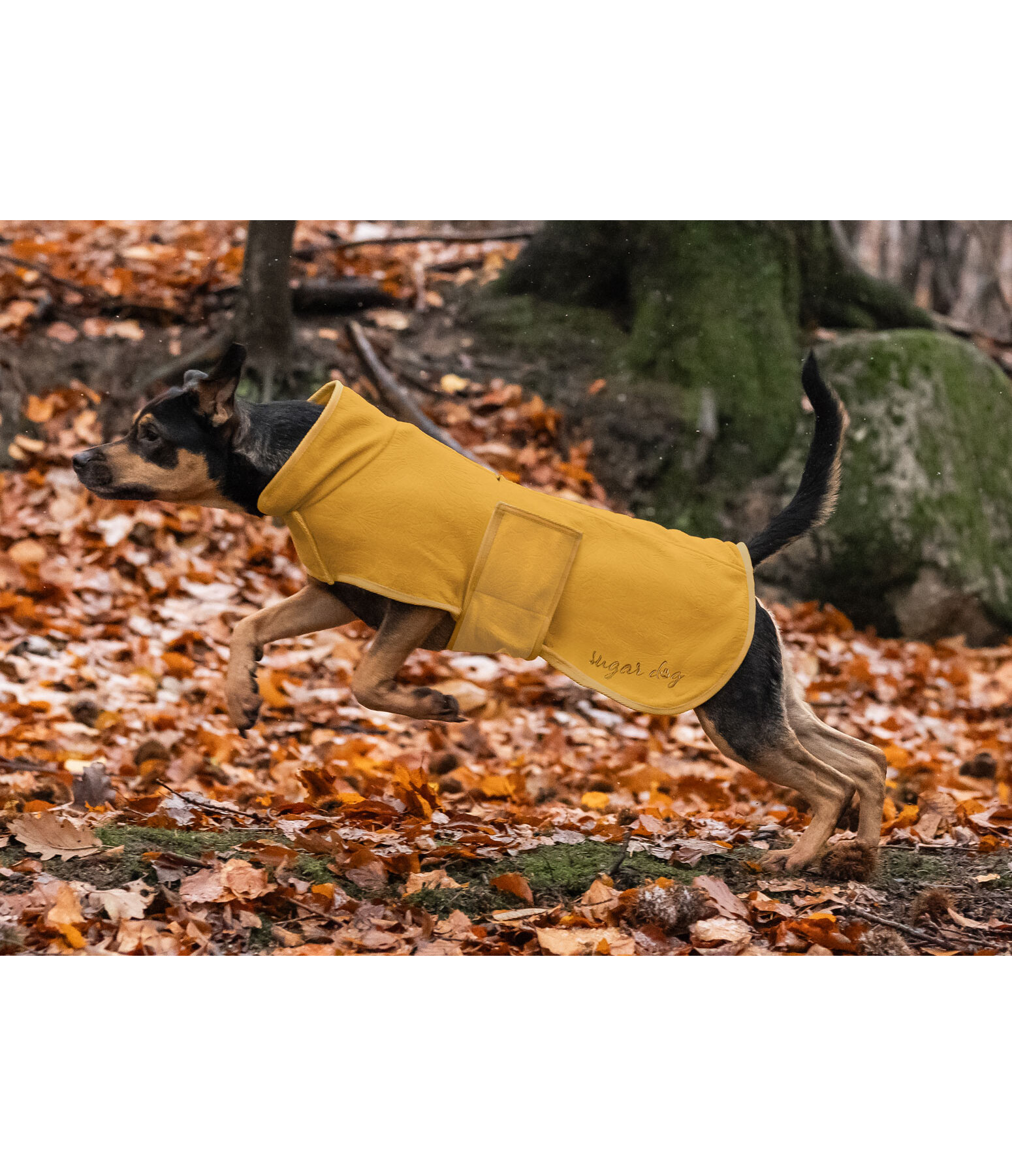 Manteau polaire pour chien  Indian Summer