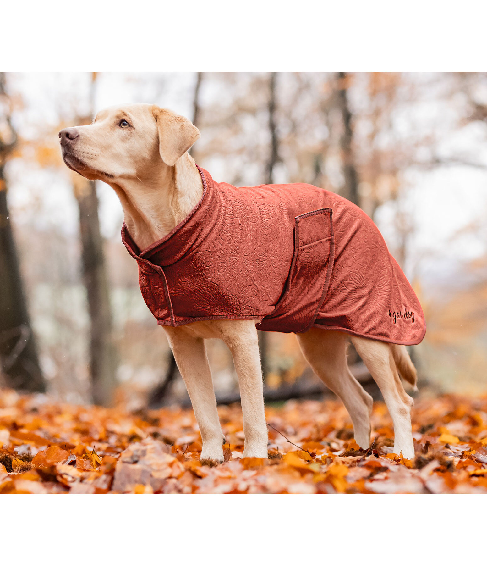 Manteau polaire pour chien  Indian Summer