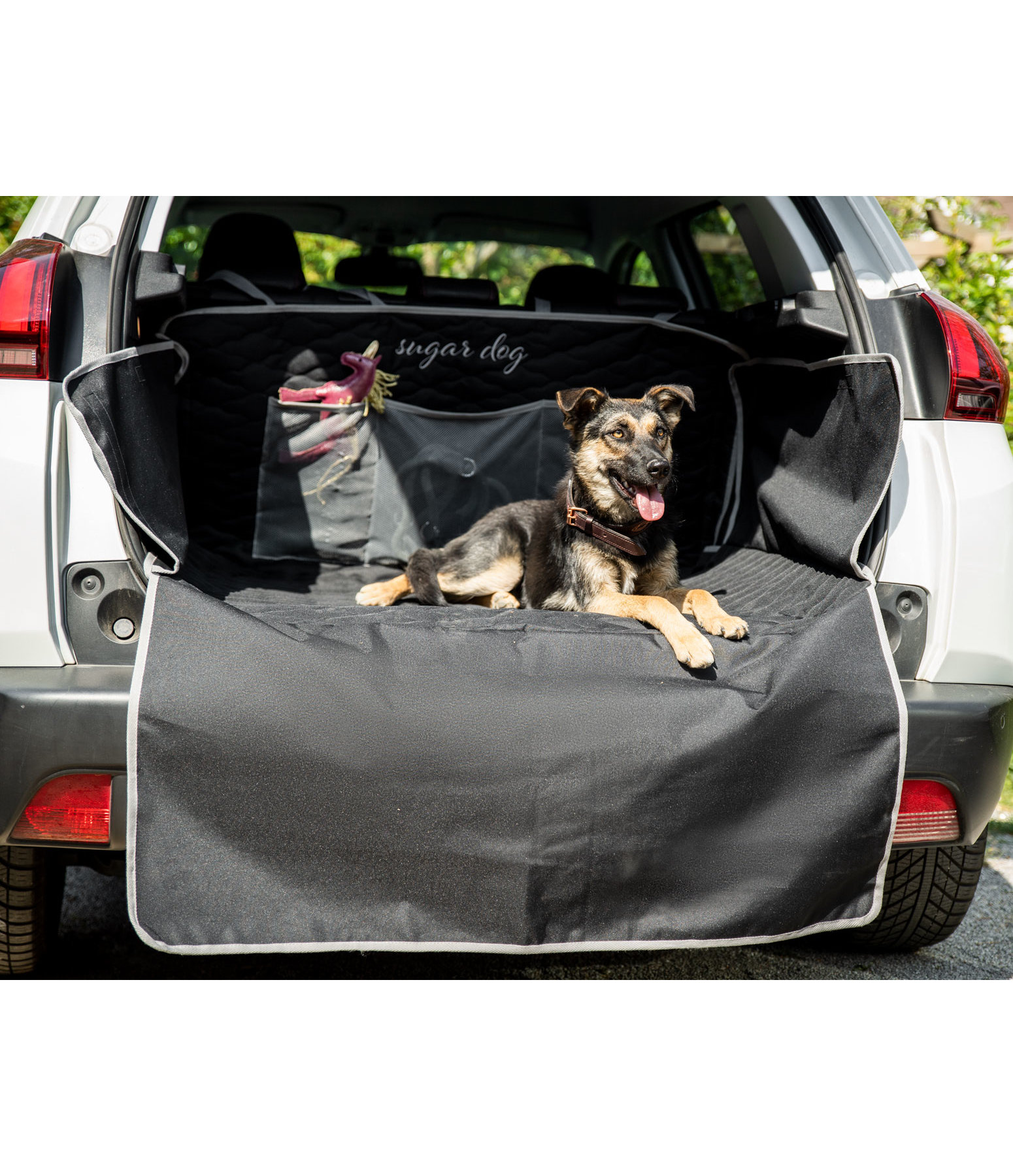 BedDog Protecteur de coffre pour chien, housse universelle de coffre de  voiture, doublure matelassée de coffre avec protection latérale, tapis chien, Sogo24 - Beddog