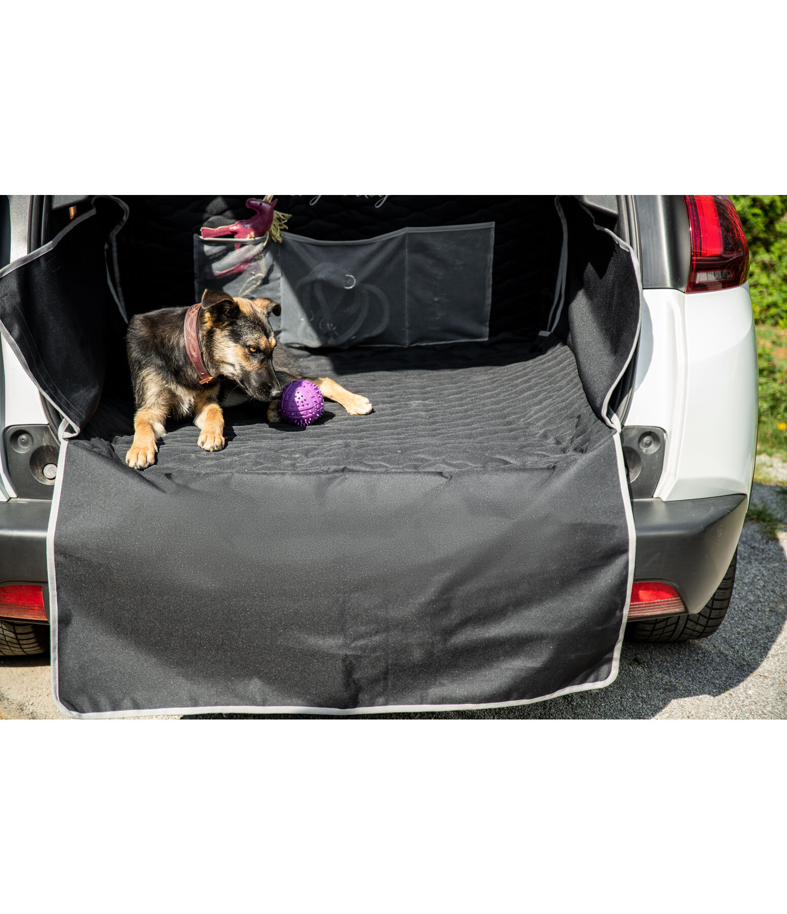 BedDog Protecteur de coffre pour chien, housse universelle de coffre de  voiture