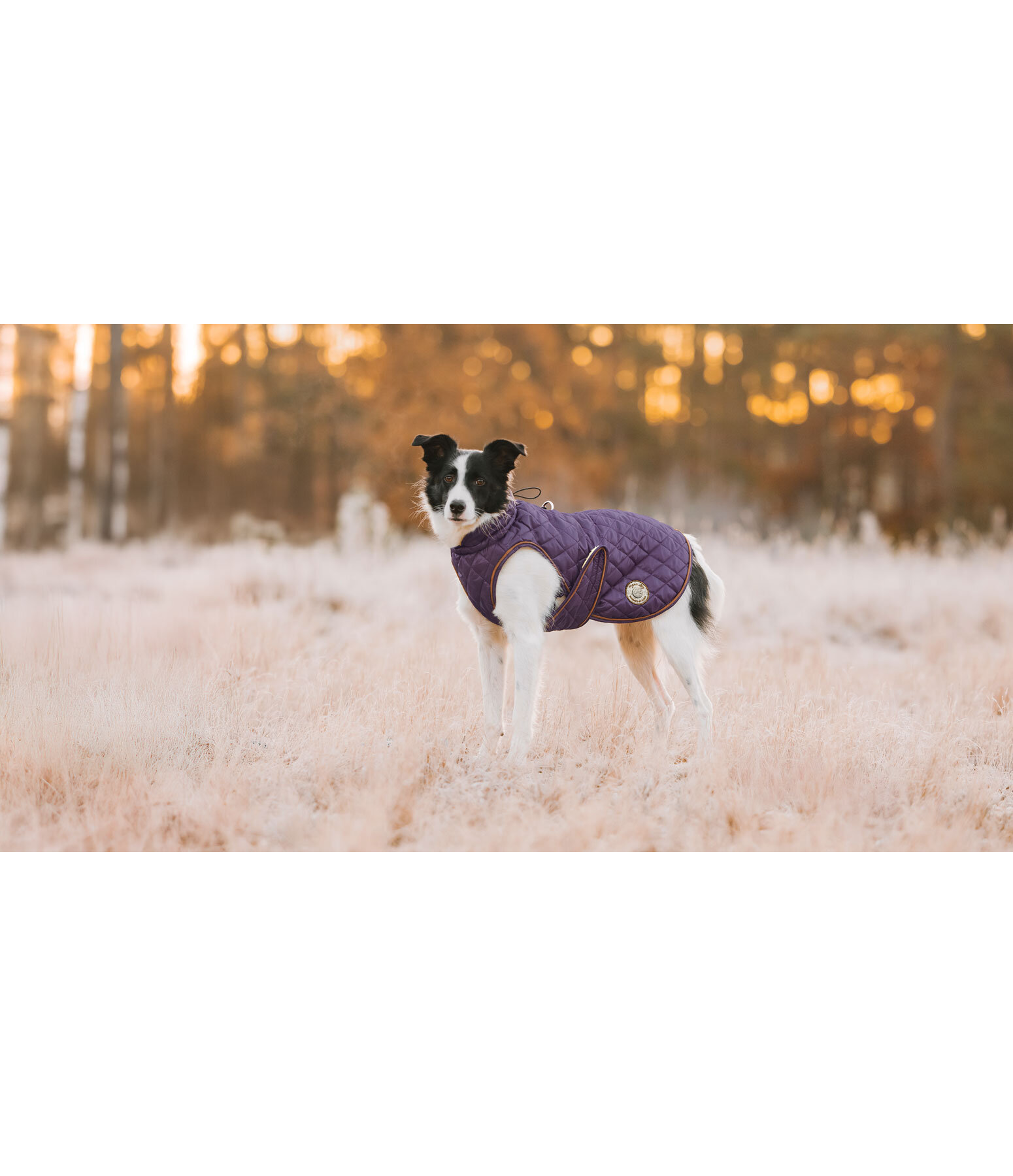 Manteau avec doublure en polaire Teddy pour chien  Archie, 160 g