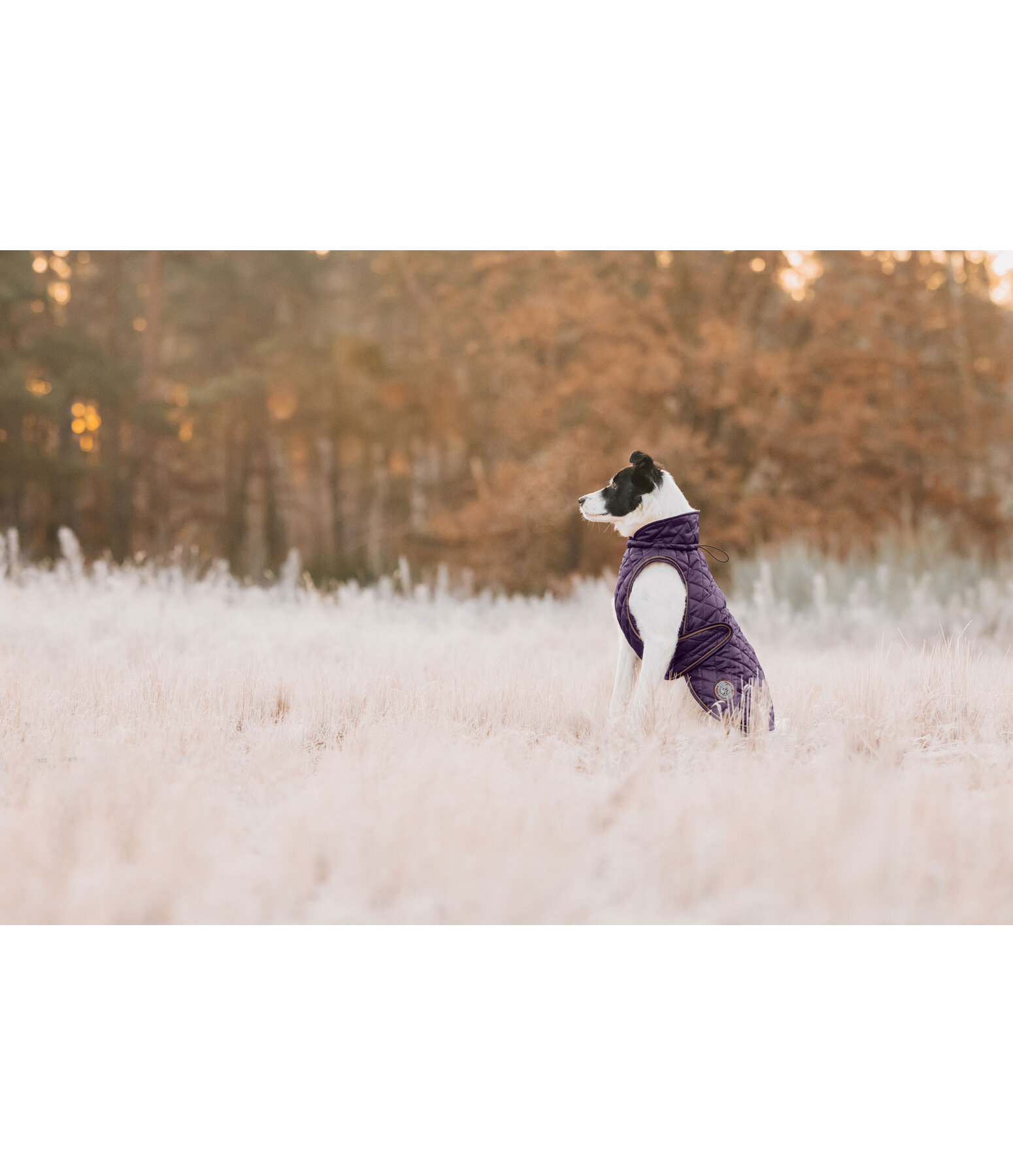 Manteau avec doublure en polaire Teddy pour chien  Archie, 160 g
