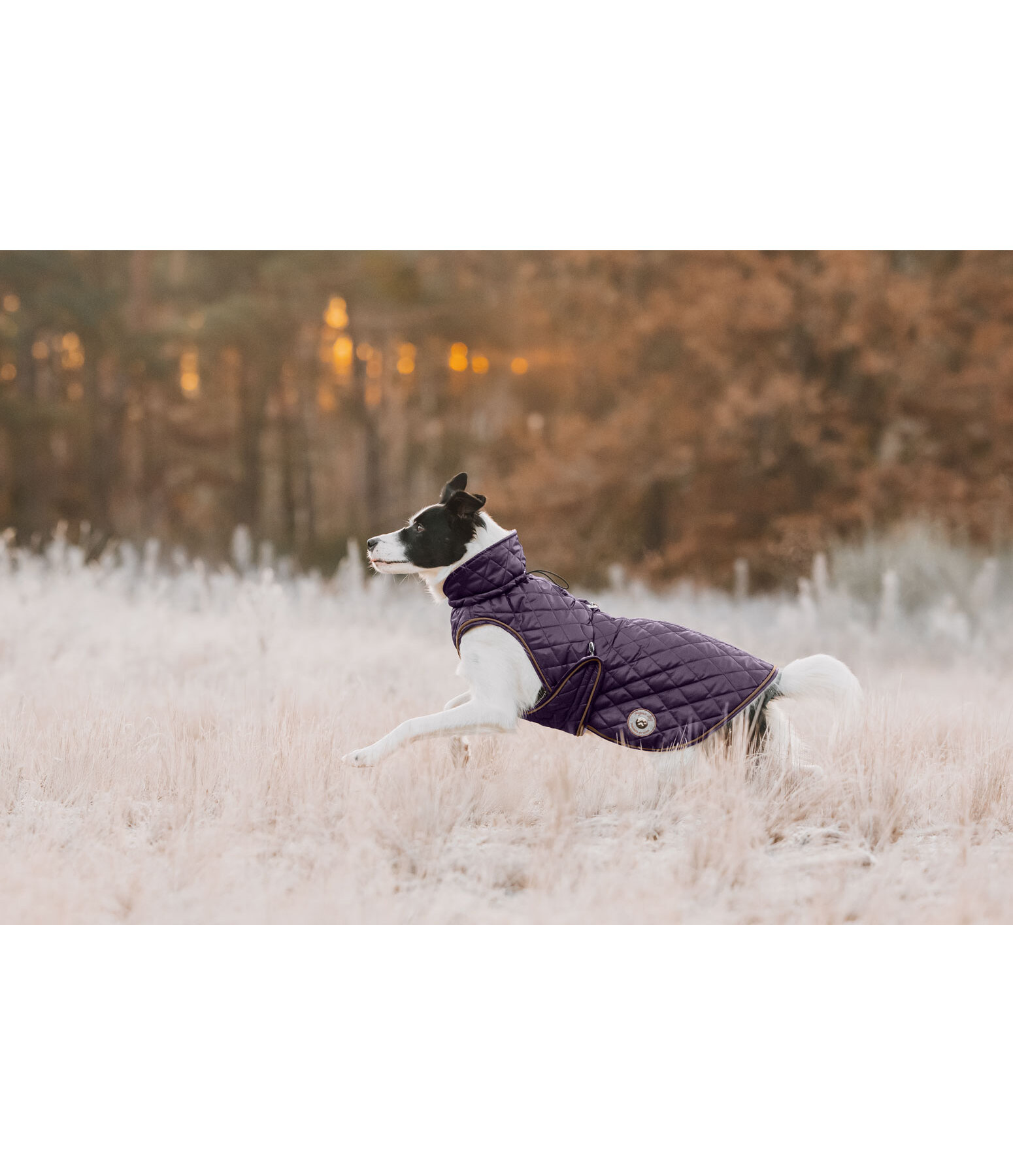 Manteau avec doublure en polaire Teddy pour chien  Archie, 160 g
