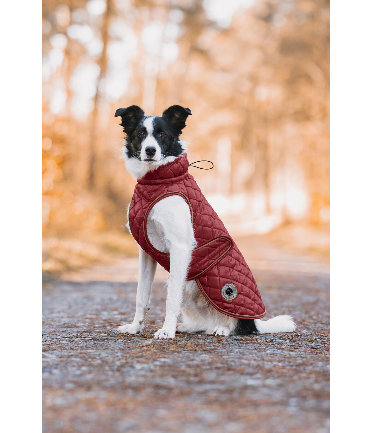 Manteau avec doublure en polaire Teddy pour chien  Archie, 160 g
